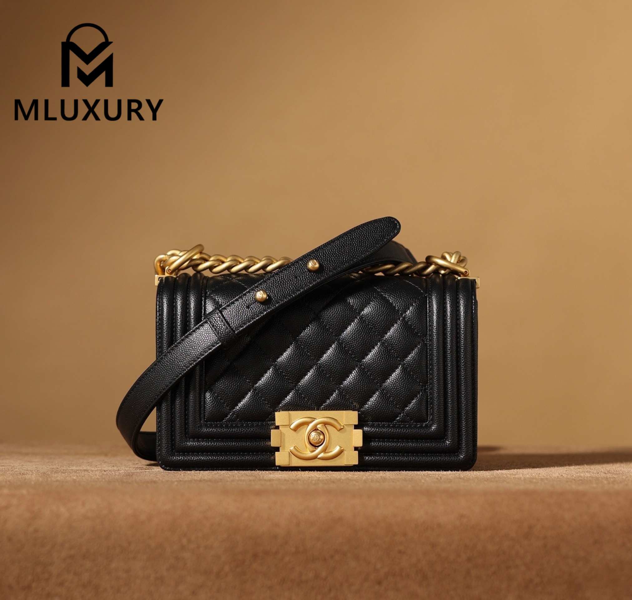 CHANEL Leboy 20 Small, Black & Gold, Large Glossy Leather