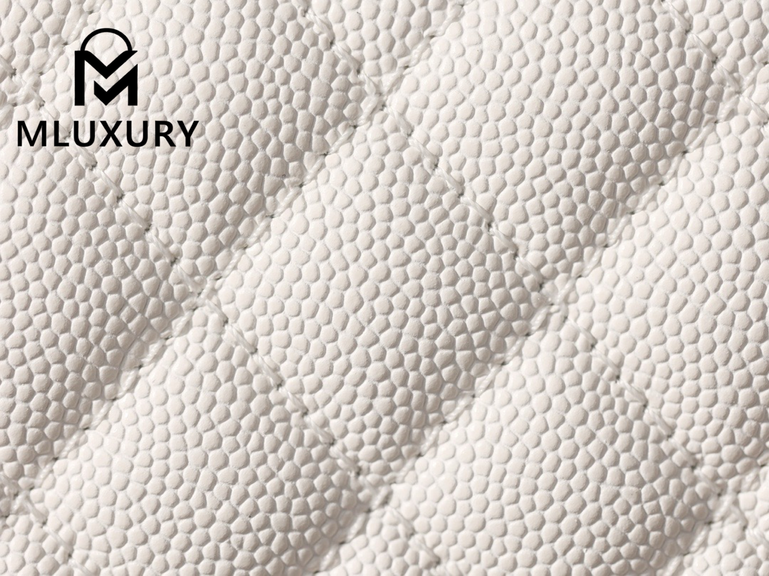 CHANEL Leboy20 Small, White with Gold Buckle, White Pebbled Grain Embossed Calfskin