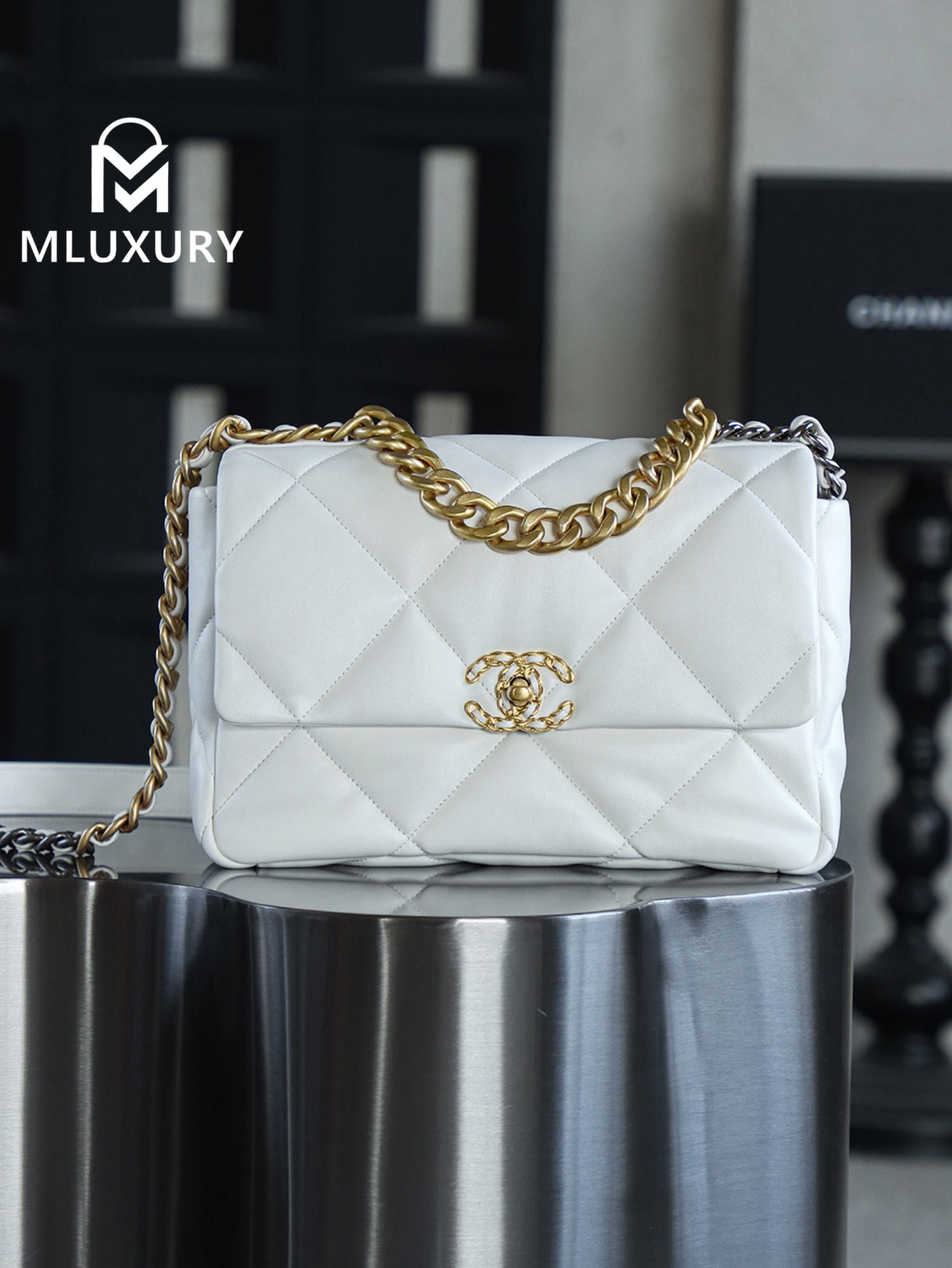 CHANEL 19bag Small, White with Gold Hardware