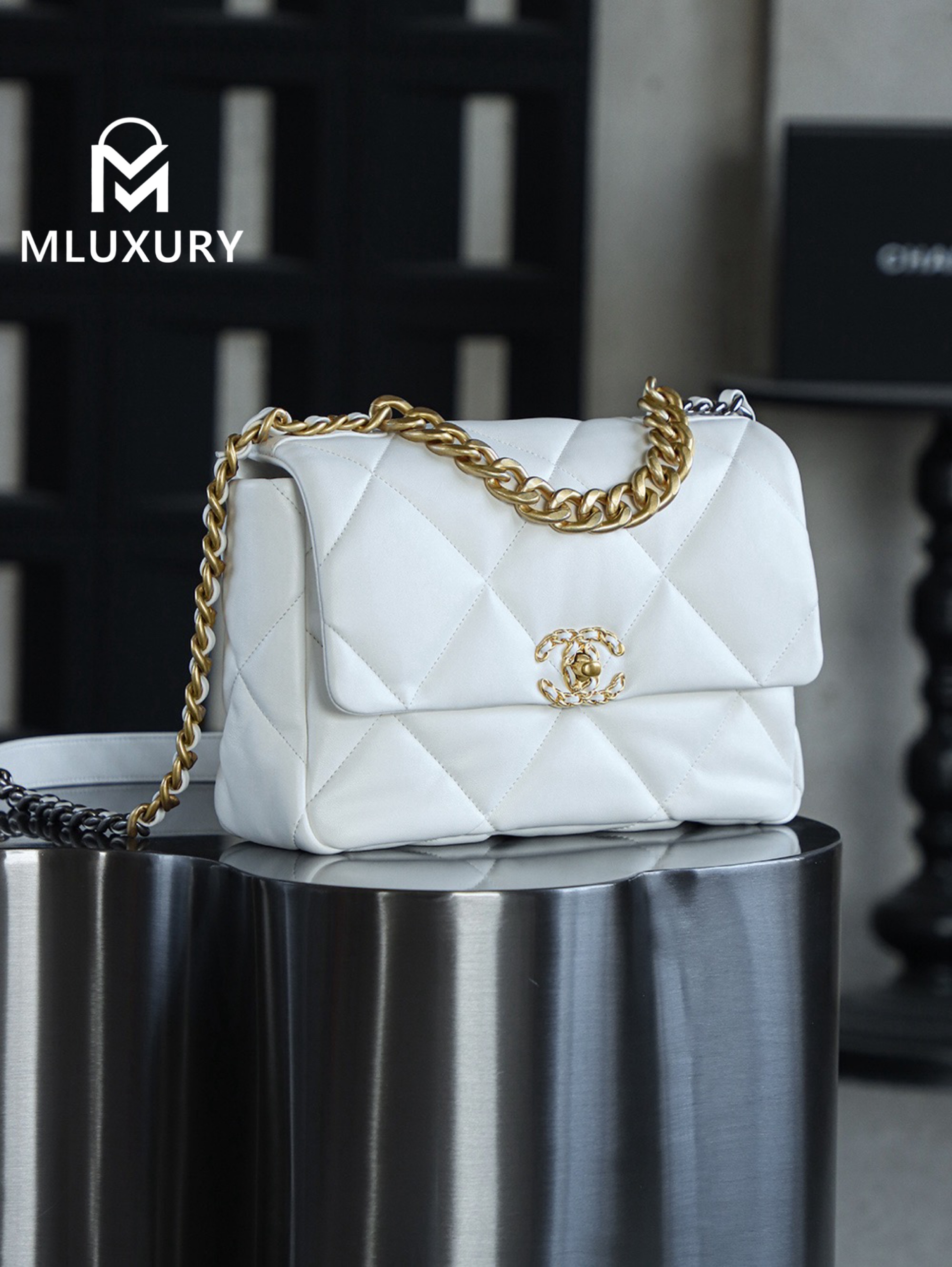 CHANEL 19bag Small, White with Gold Hardware