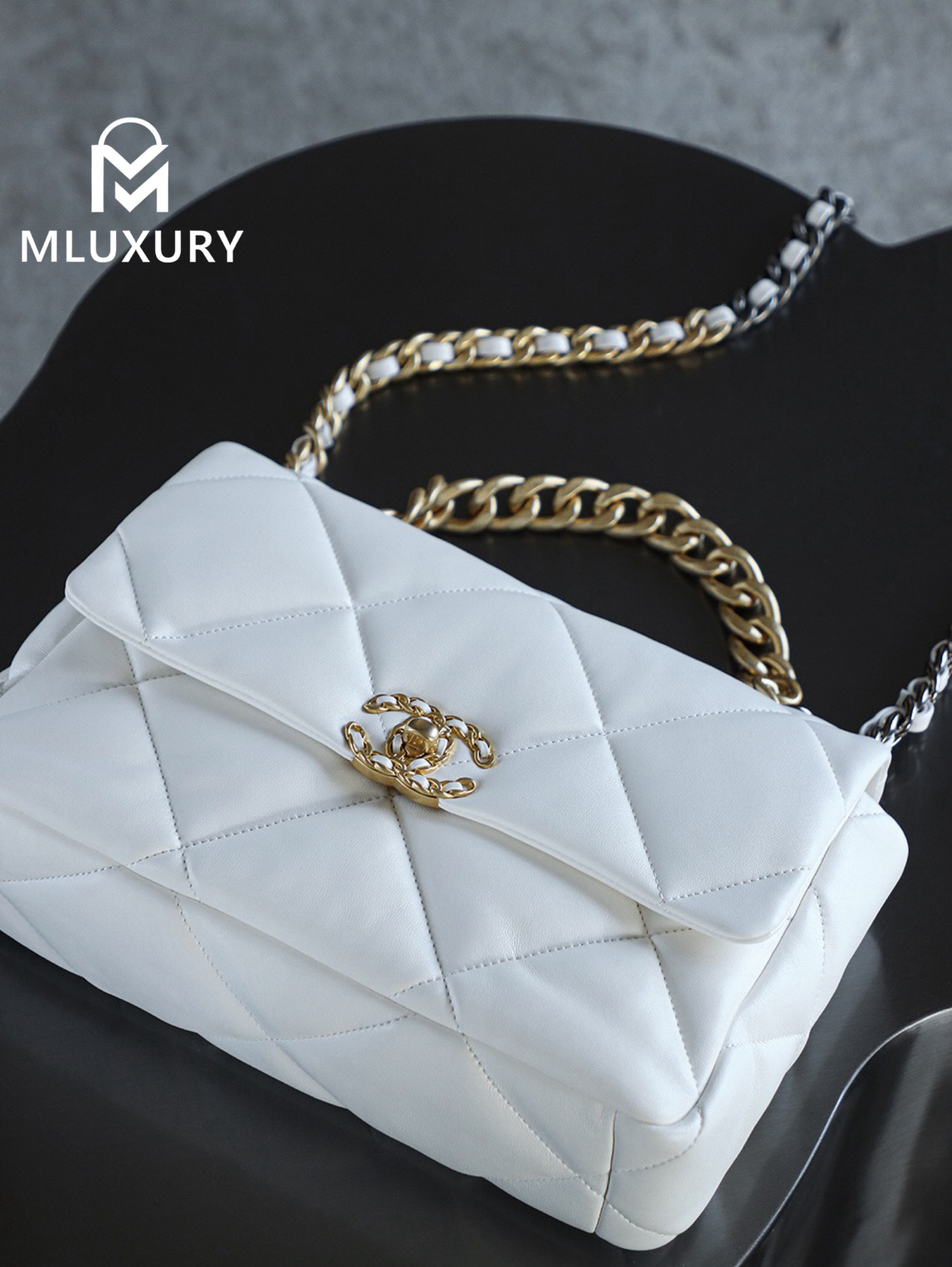 CHANEL 19bag Small, White with Gold Hardware