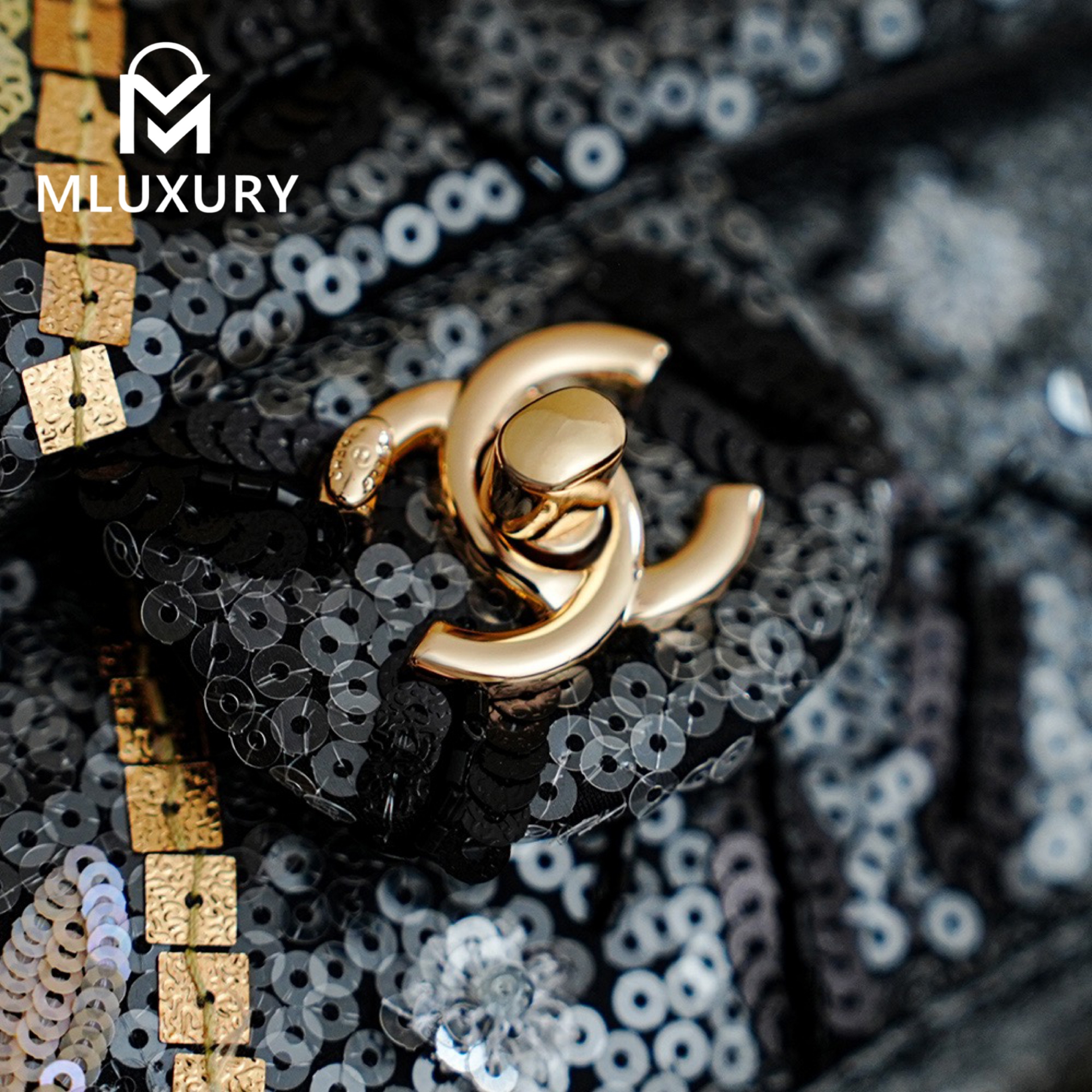 CHANEL 25A Limited Edition Embroidered Sequined CF
