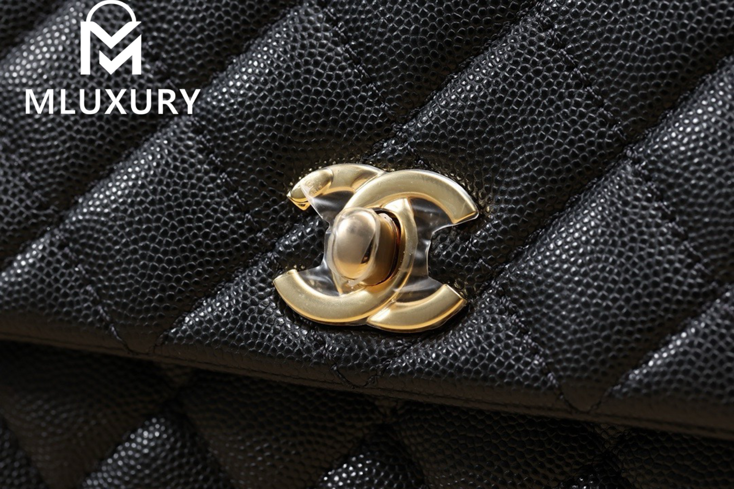 CHANEL Coco Handle, Small Size, Black Lychee Grain with Maroon Lizard Skin