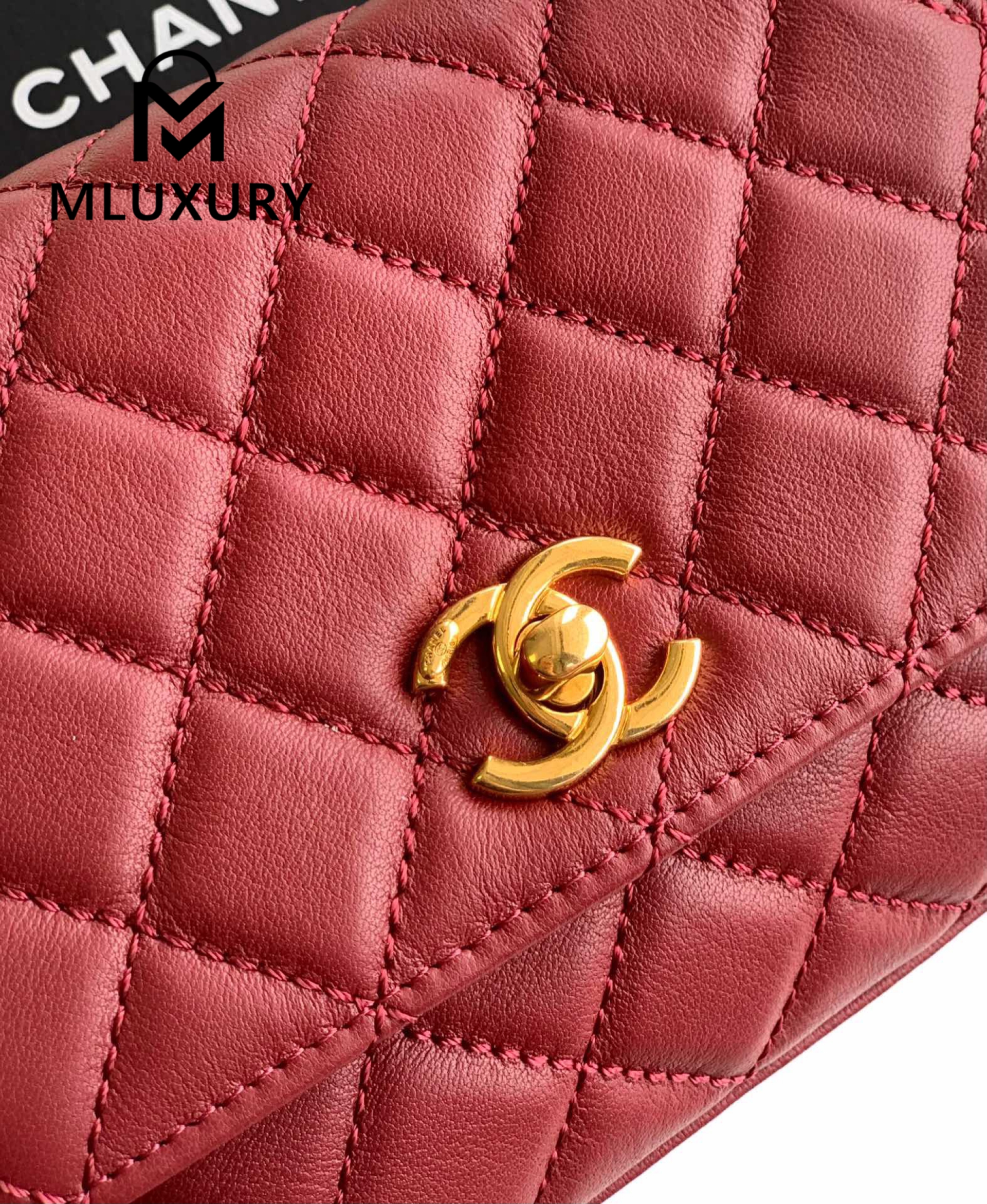 CHANEL Coco Handle Mini Limited Edition, Burgundy