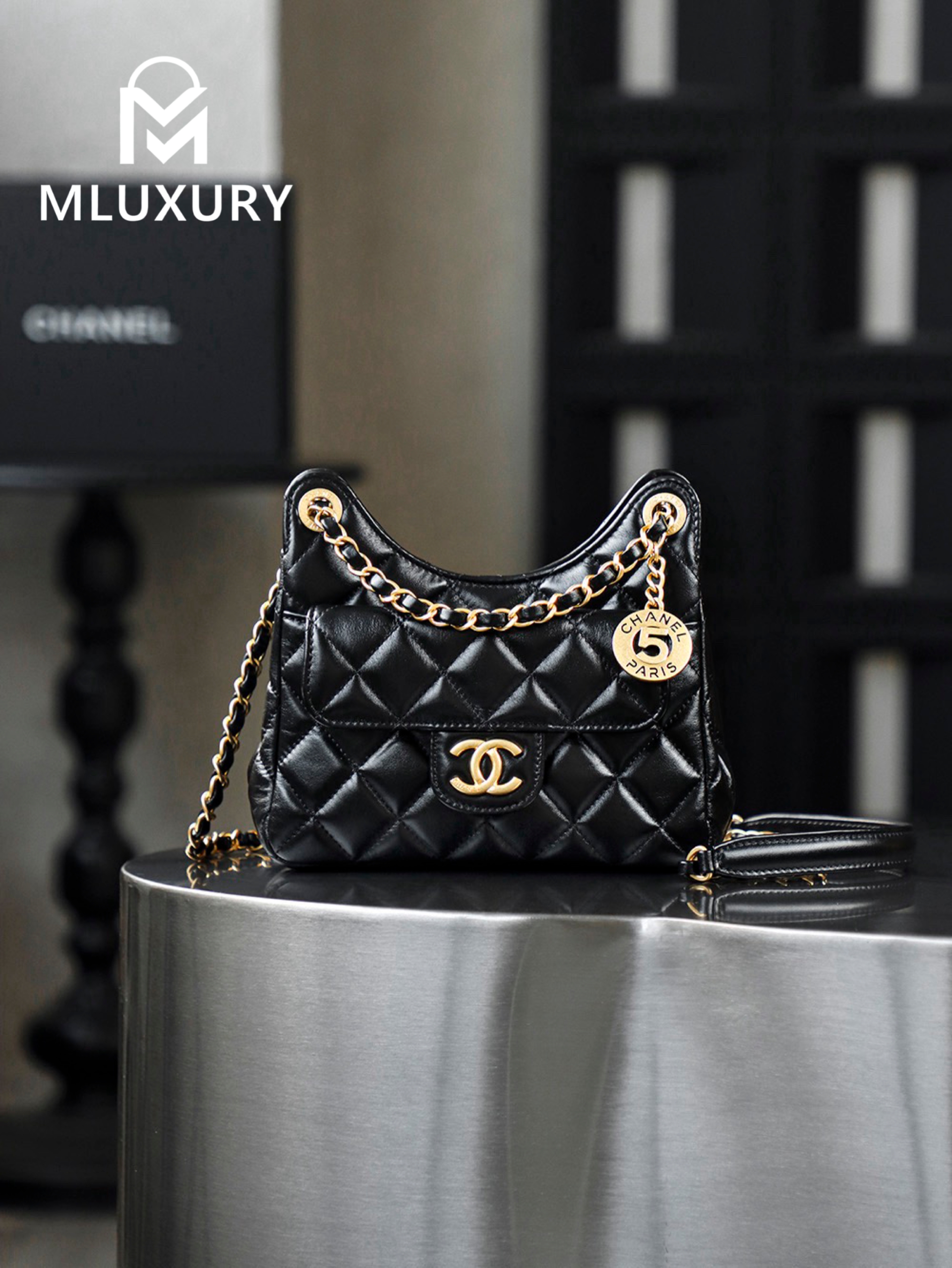 CHANEL 25S New Hobo Bag, Small