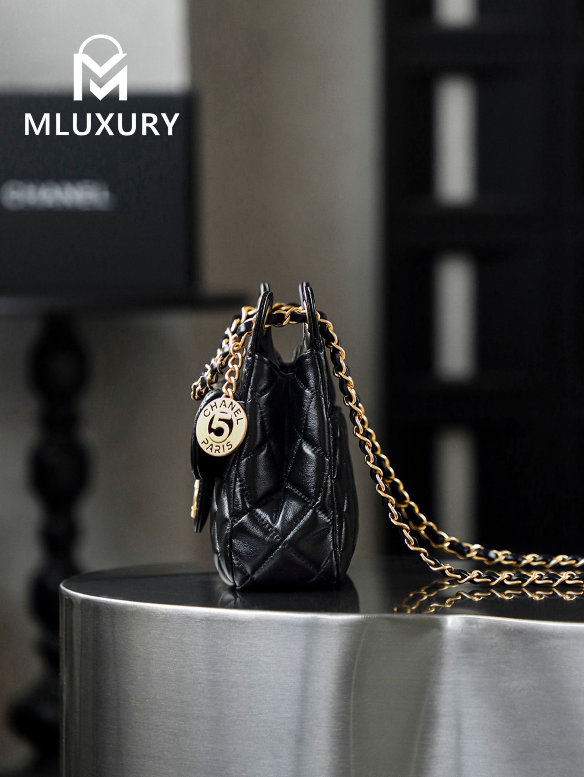 CHANEL 25S New Hobo Bag, Small