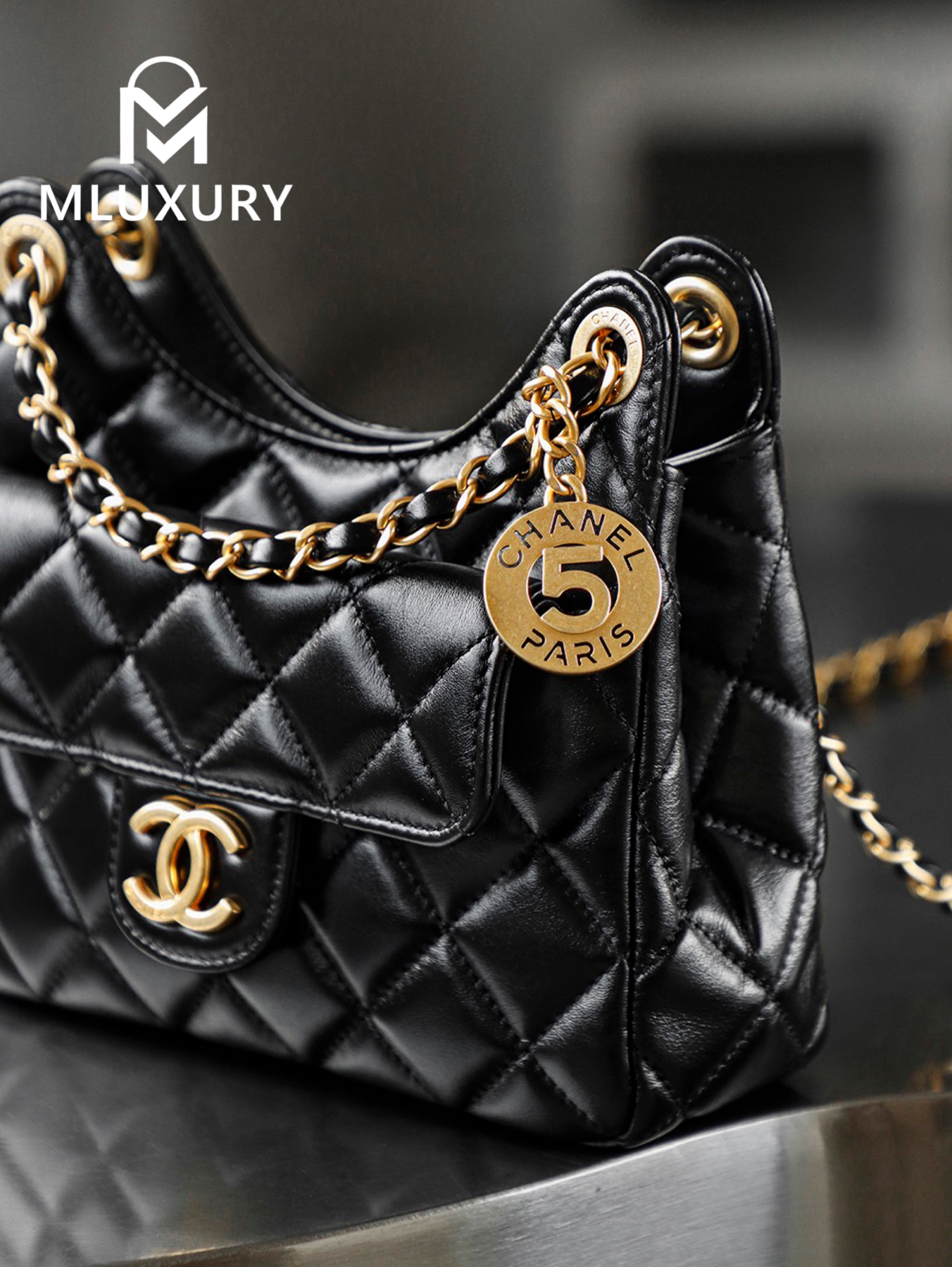 CHANEL 25S New Hobo Bag, Small