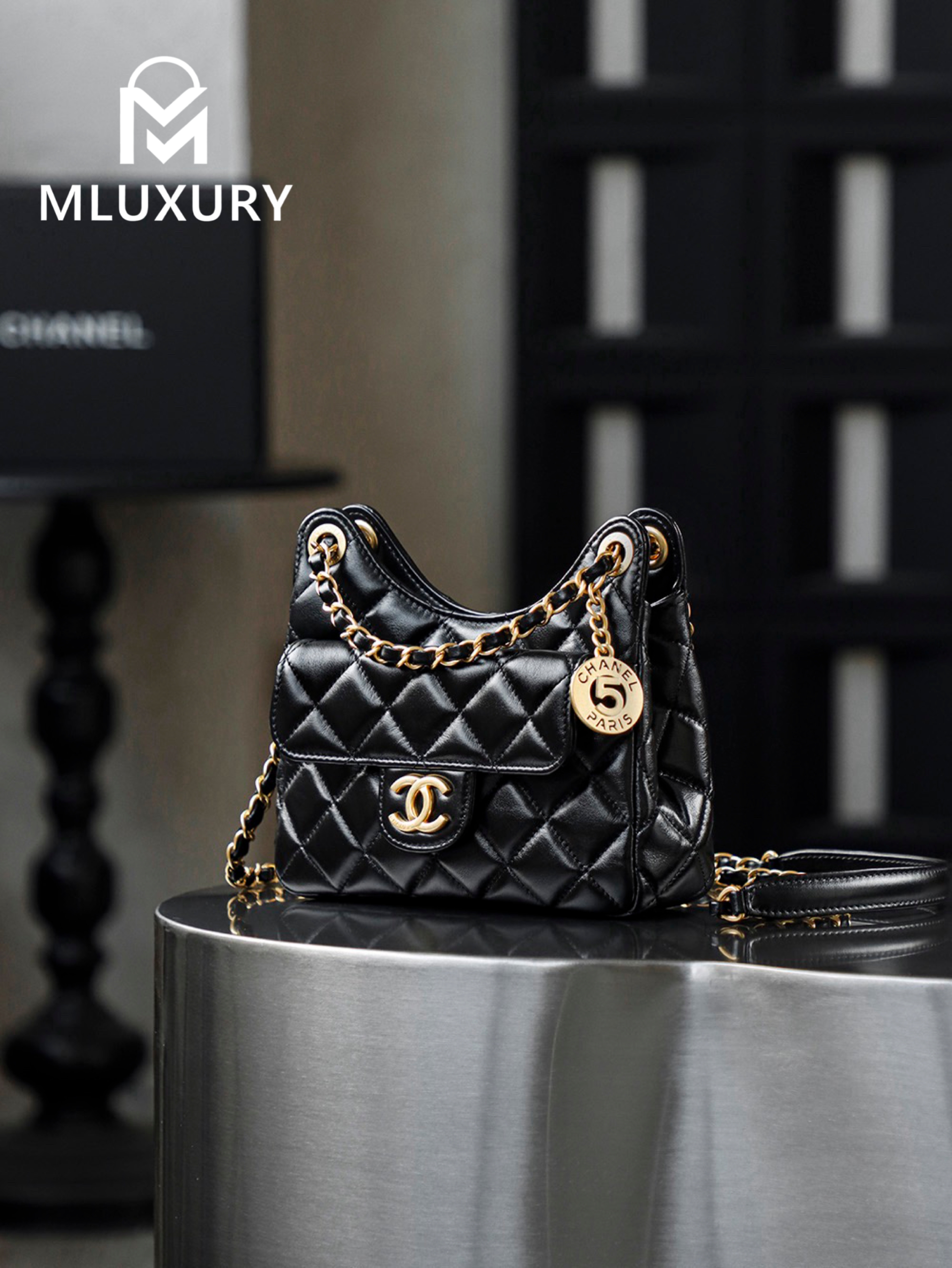 CHANEL 25S New Hobo Bag, Small