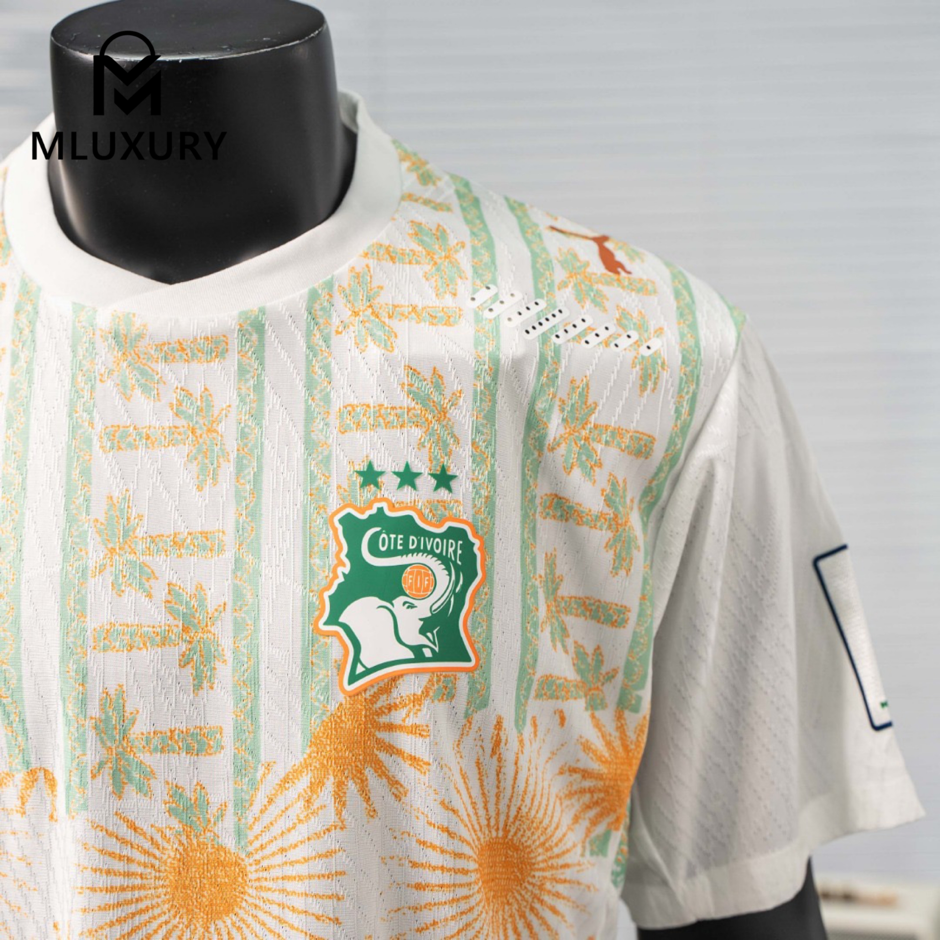 PUMA 2026 World Cup Ivory Coast National Team New PUMA Soccer Jersey
