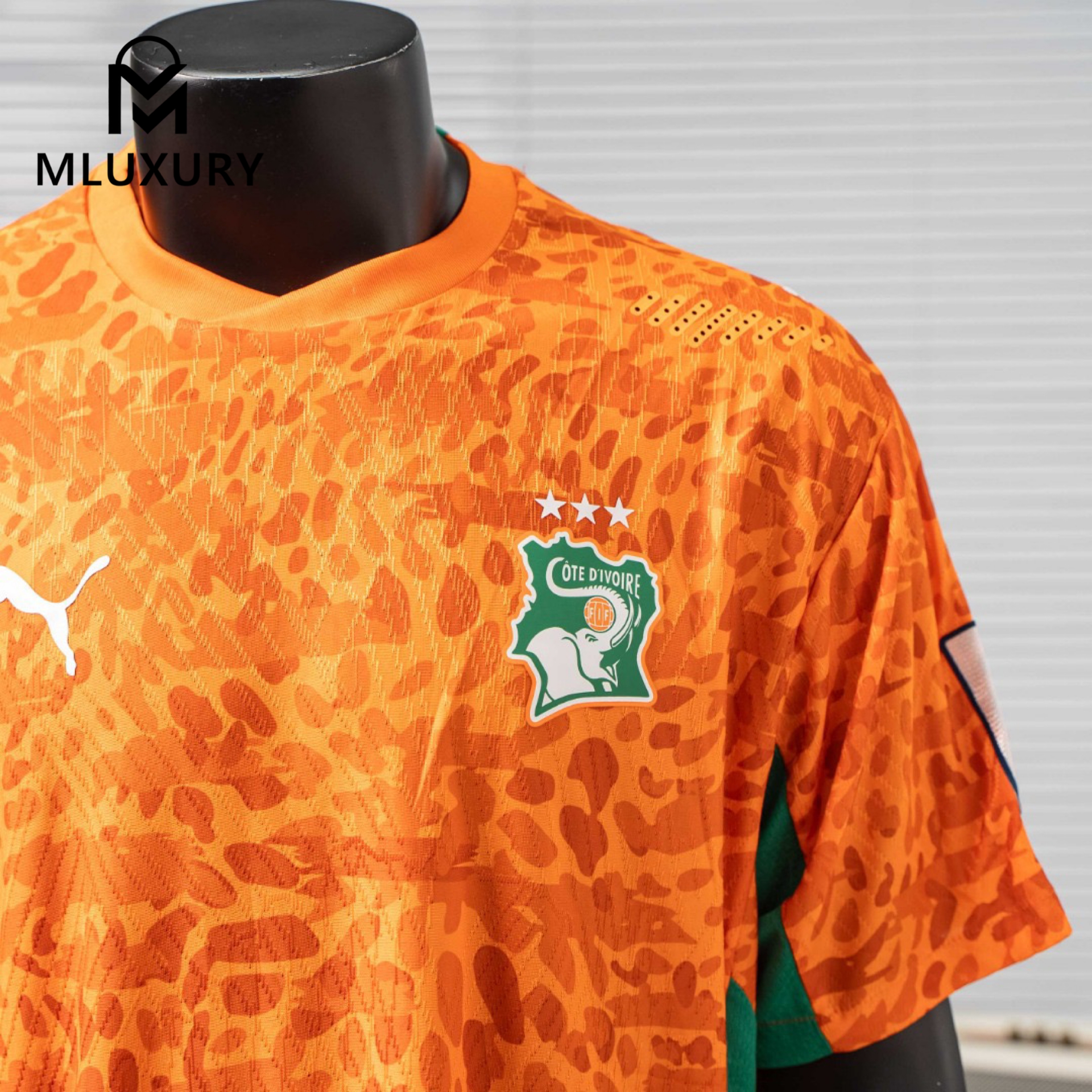 PUMA 2026 World Cup Ivory Coast National Team New PUMA Short-Sleeve Jersey