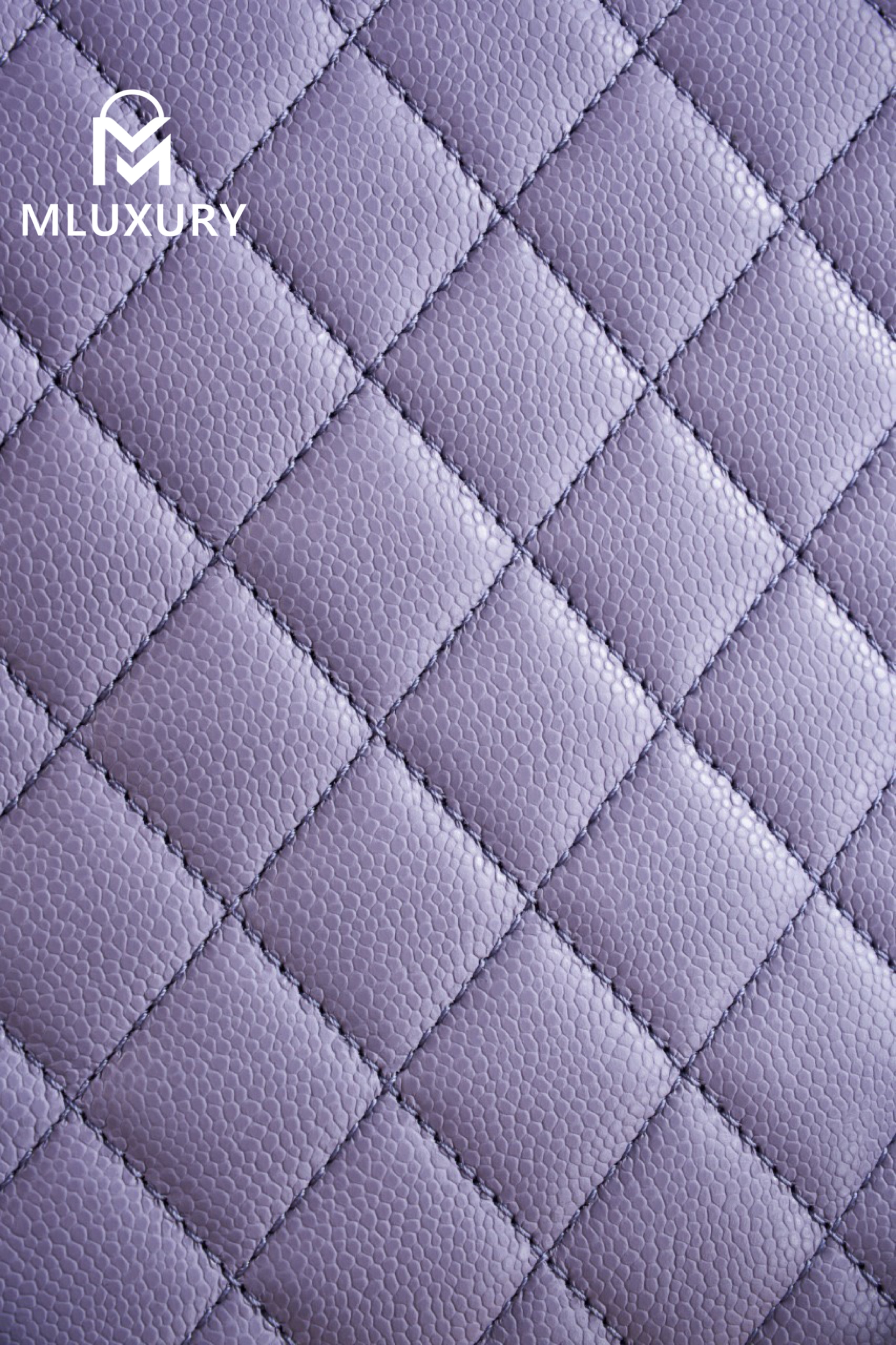 CHANEL 24A Duma Small Backpack, Purple