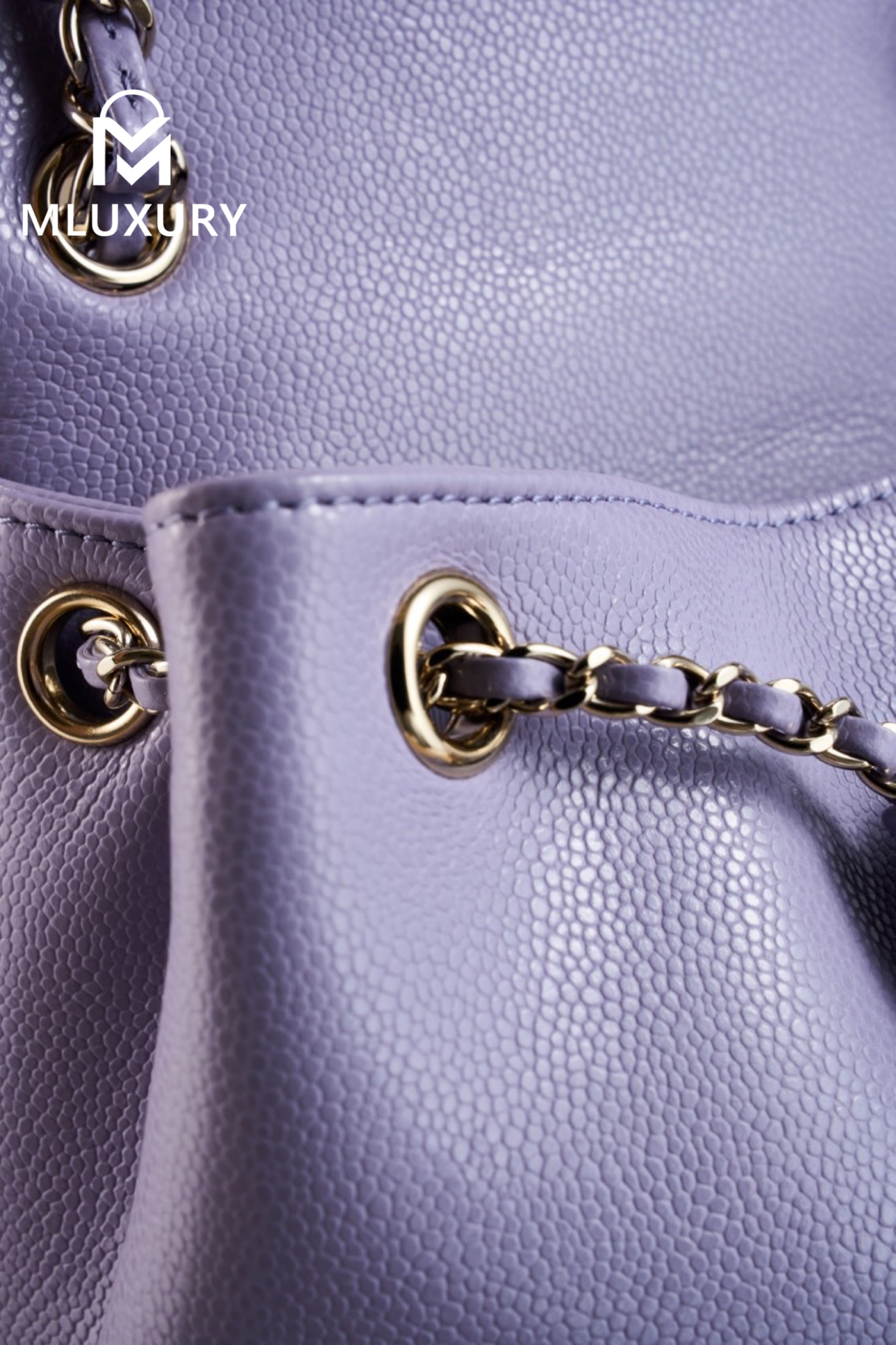 CHANEL 24A Duma Small Backpack, Purple