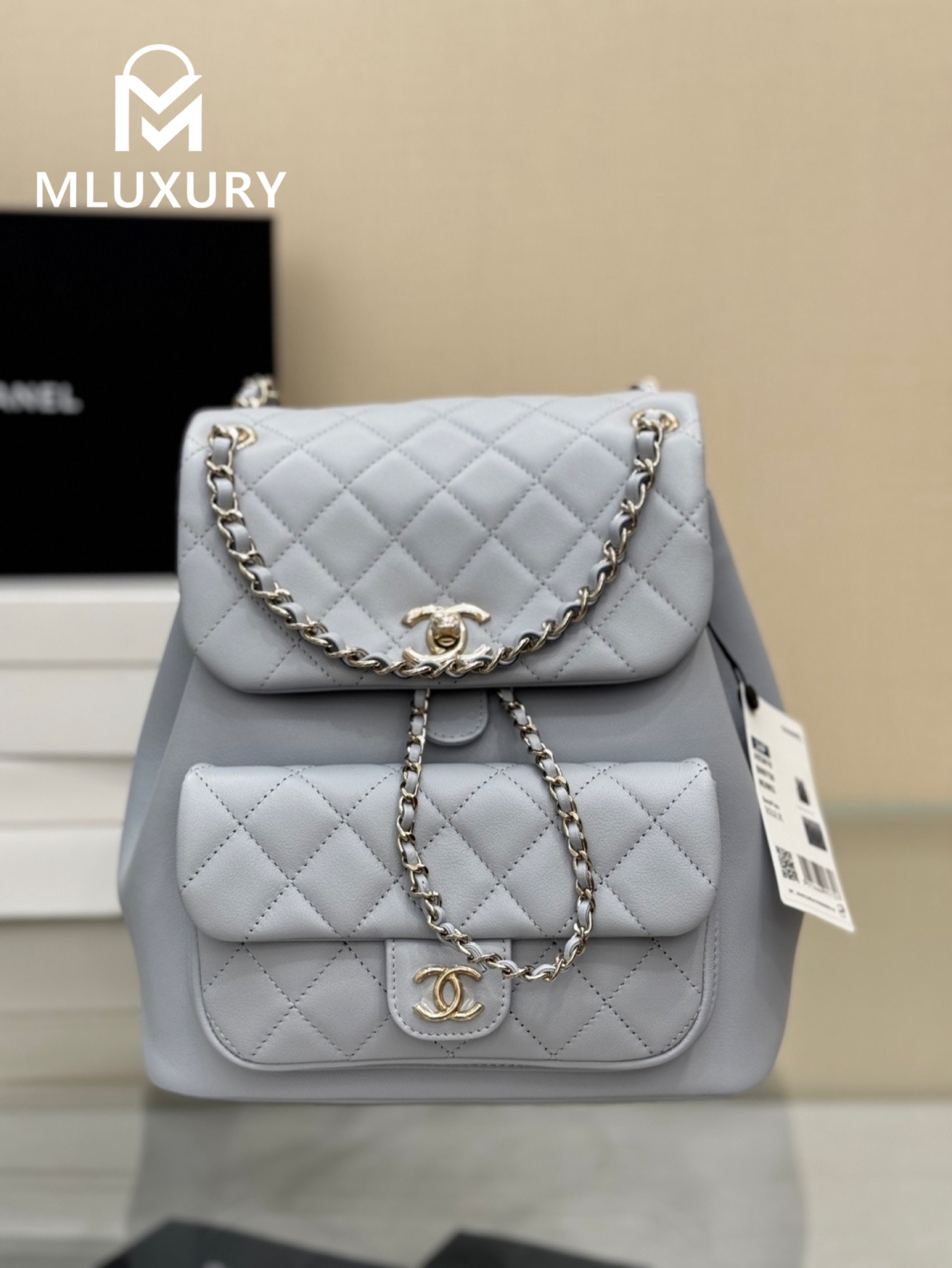 CHANEL 24Duma Large Backpack, Grey