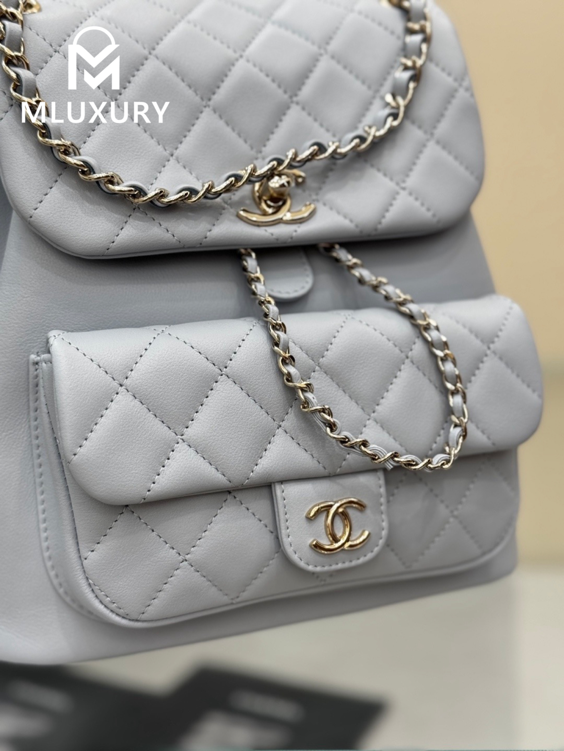 CHANEL 24Duma Large Backpack, Grey