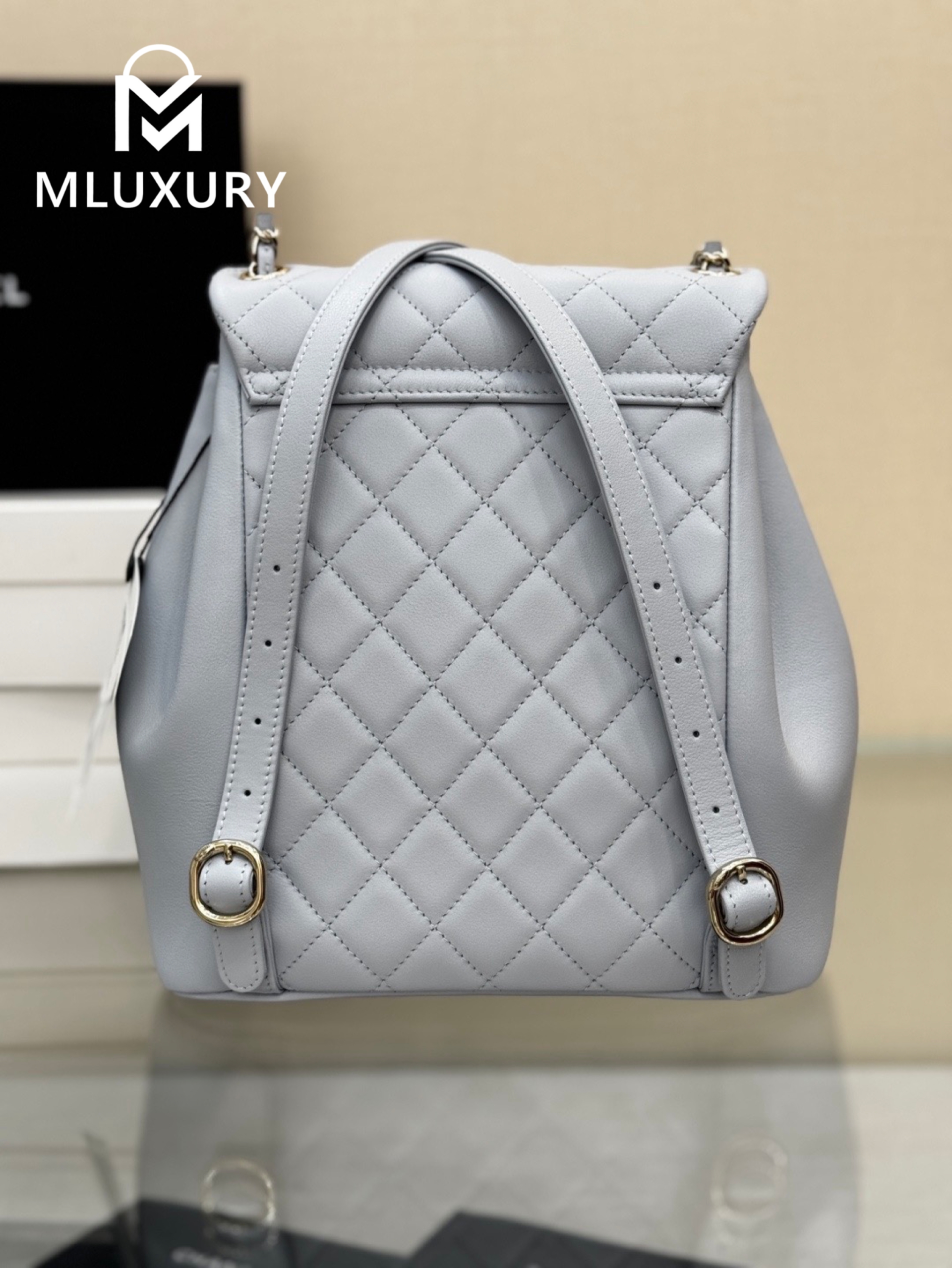 CHANEL 24Duma Large Backpack, Grey