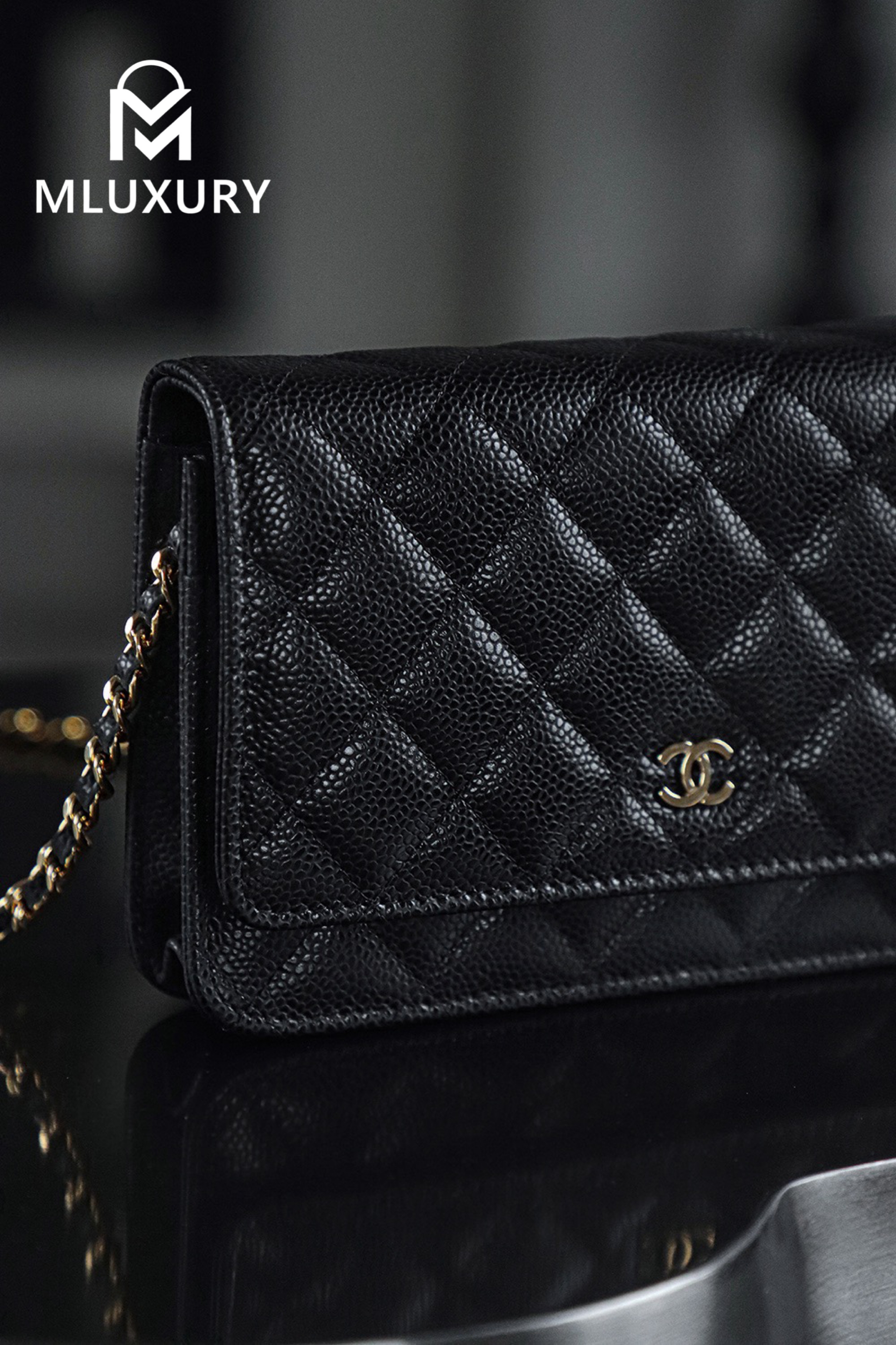 CHANEL Wallet on Chain "Fortune Bag", Black