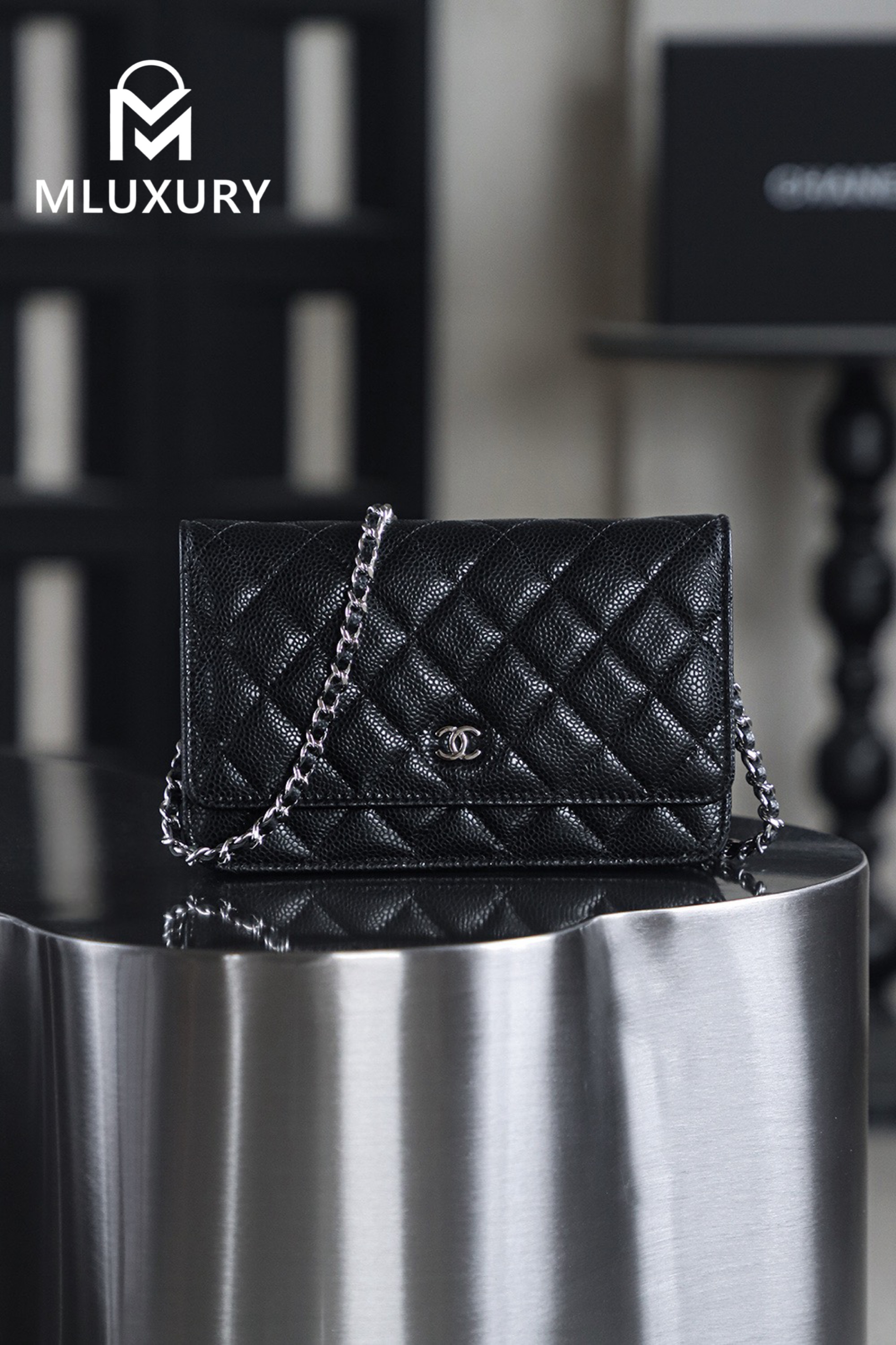 CHANEL Wallet on Chain "Fortune Bag", Black & Silver