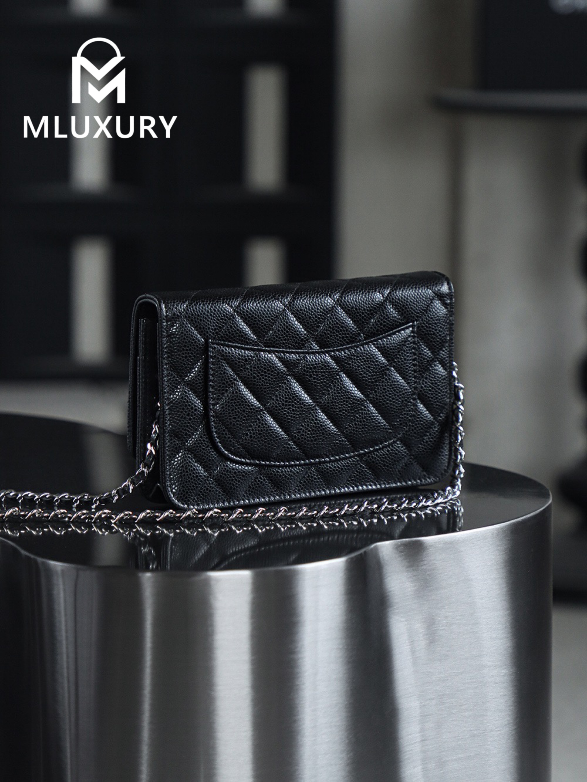 CHANEL Wallet on Chain "Fortune Bag", Black & Silver