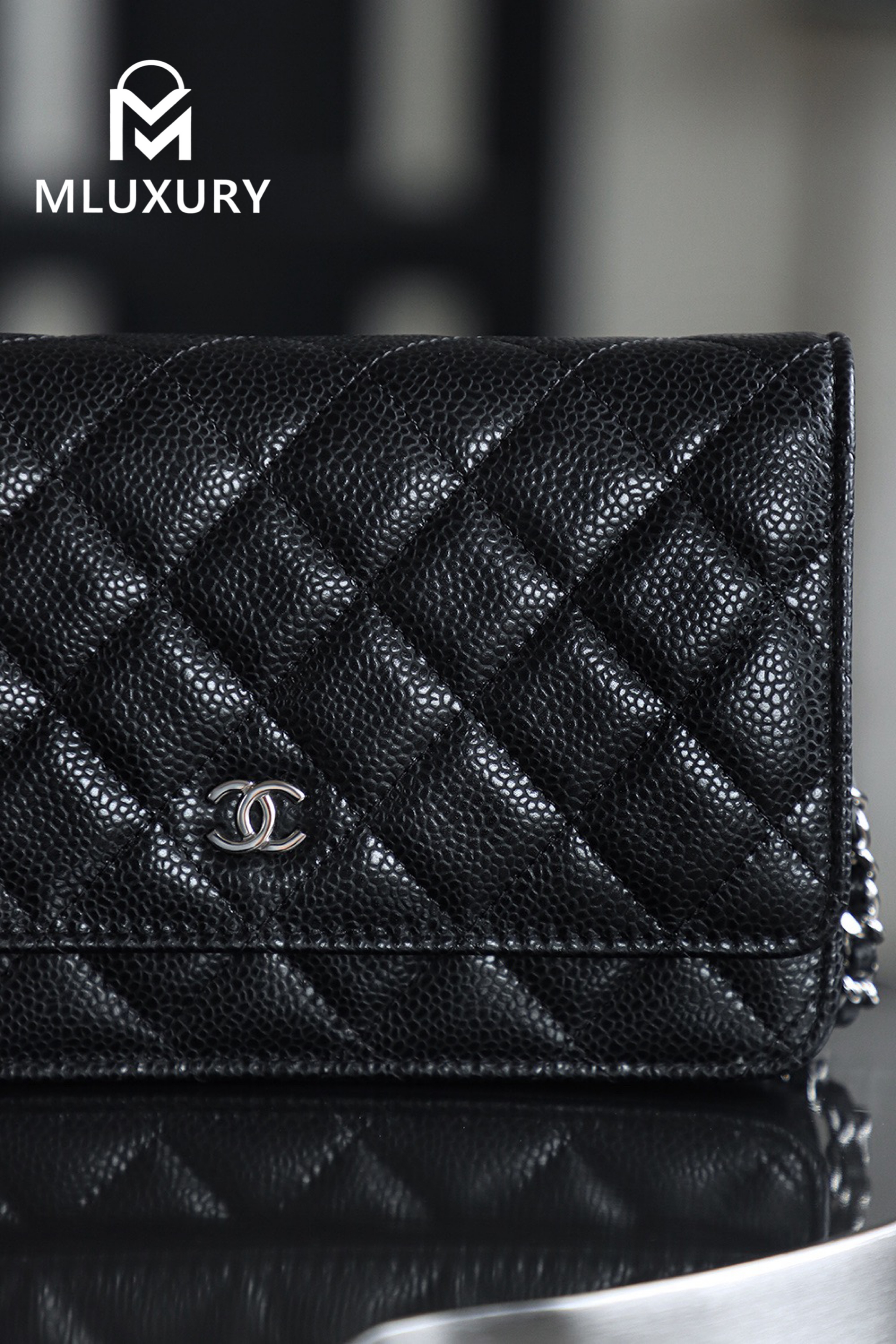 CHANEL Wallet on Chain "Fortune Bag", Black & Silver