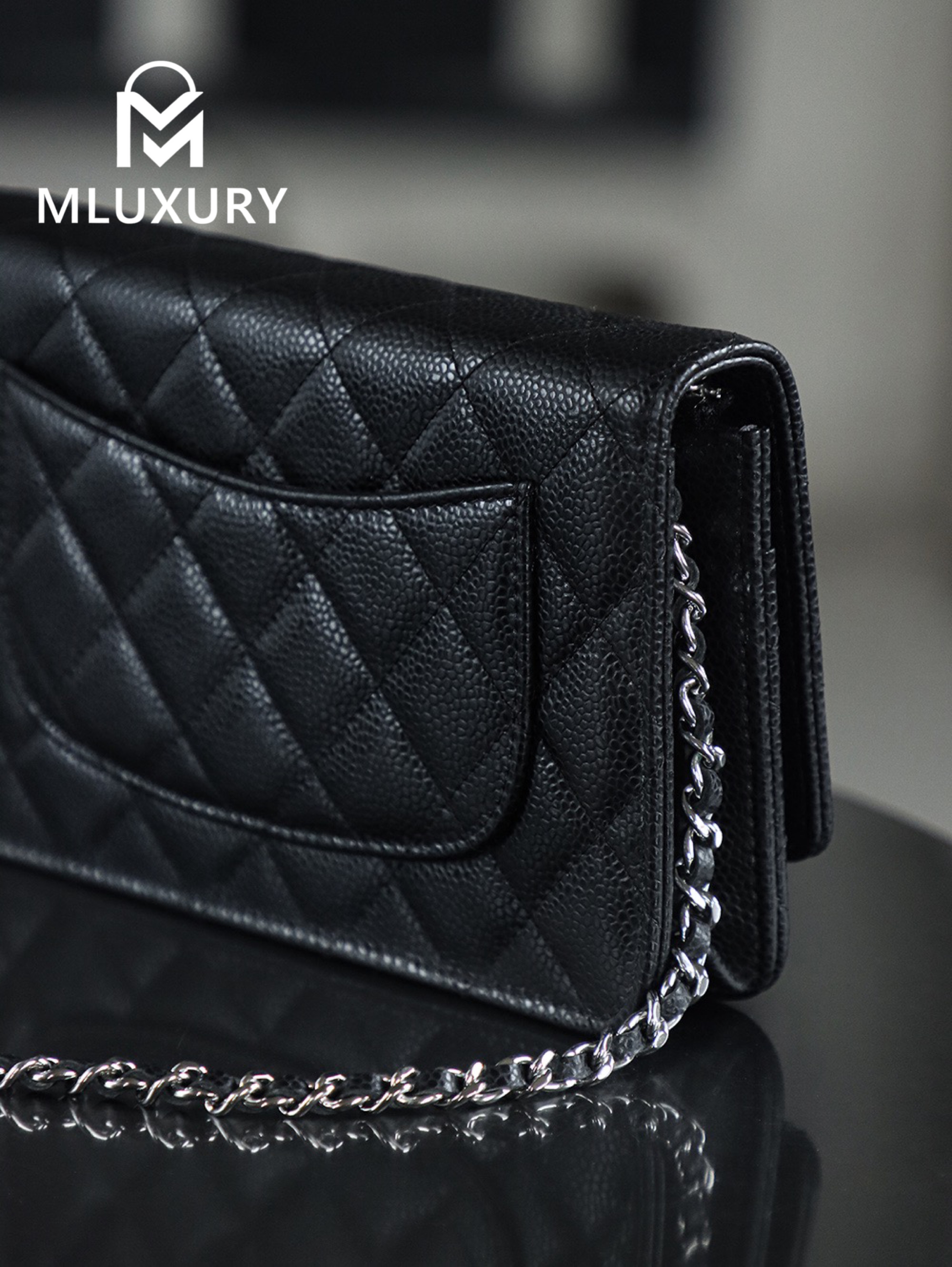 CHANEL Wallet on Chain "Fortune Bag", Black & Silver