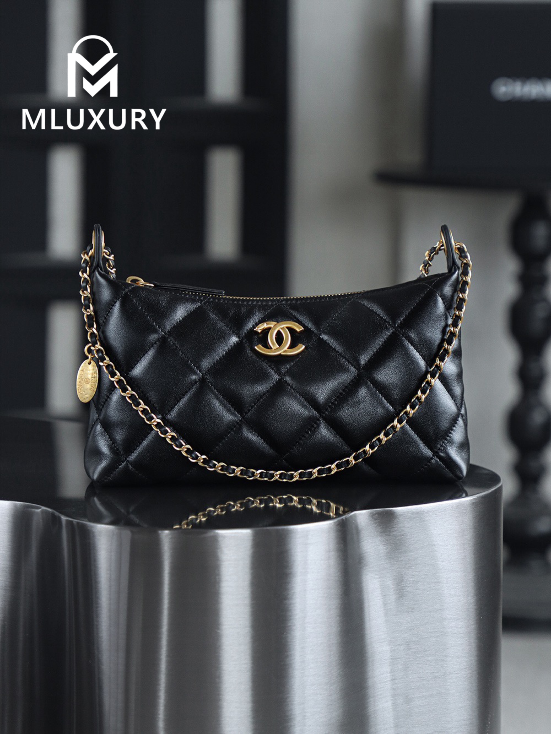 CHANEL 25S Gold Coin Hobo Bag