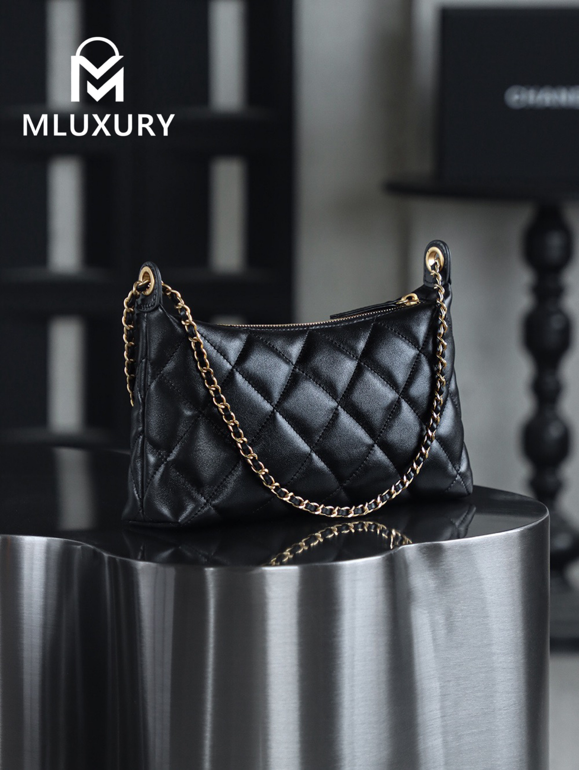 CHANEL 25S Gold Coin Hobo Bag