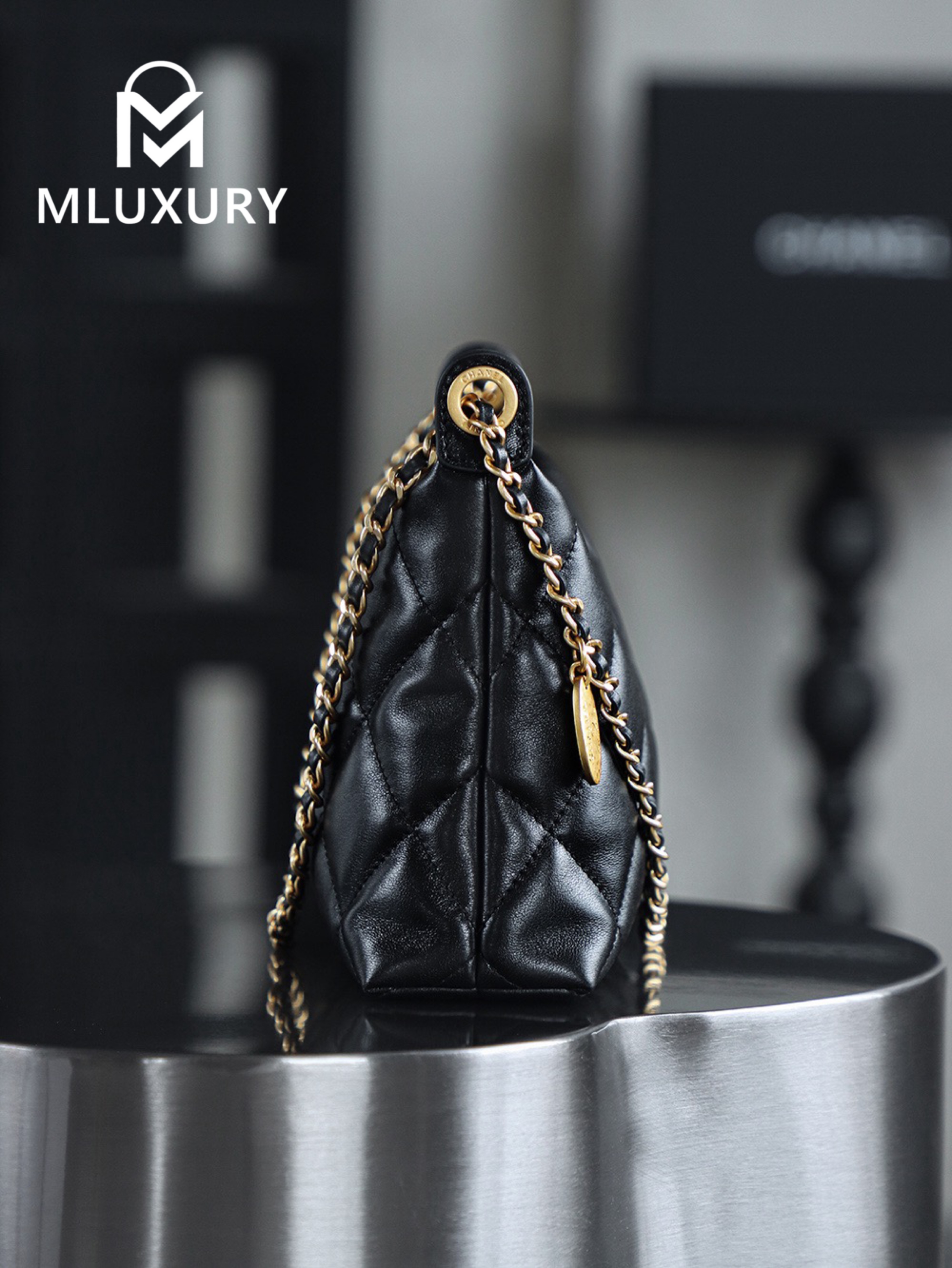 CHANEL 25S Gold Coin Hobo Bag