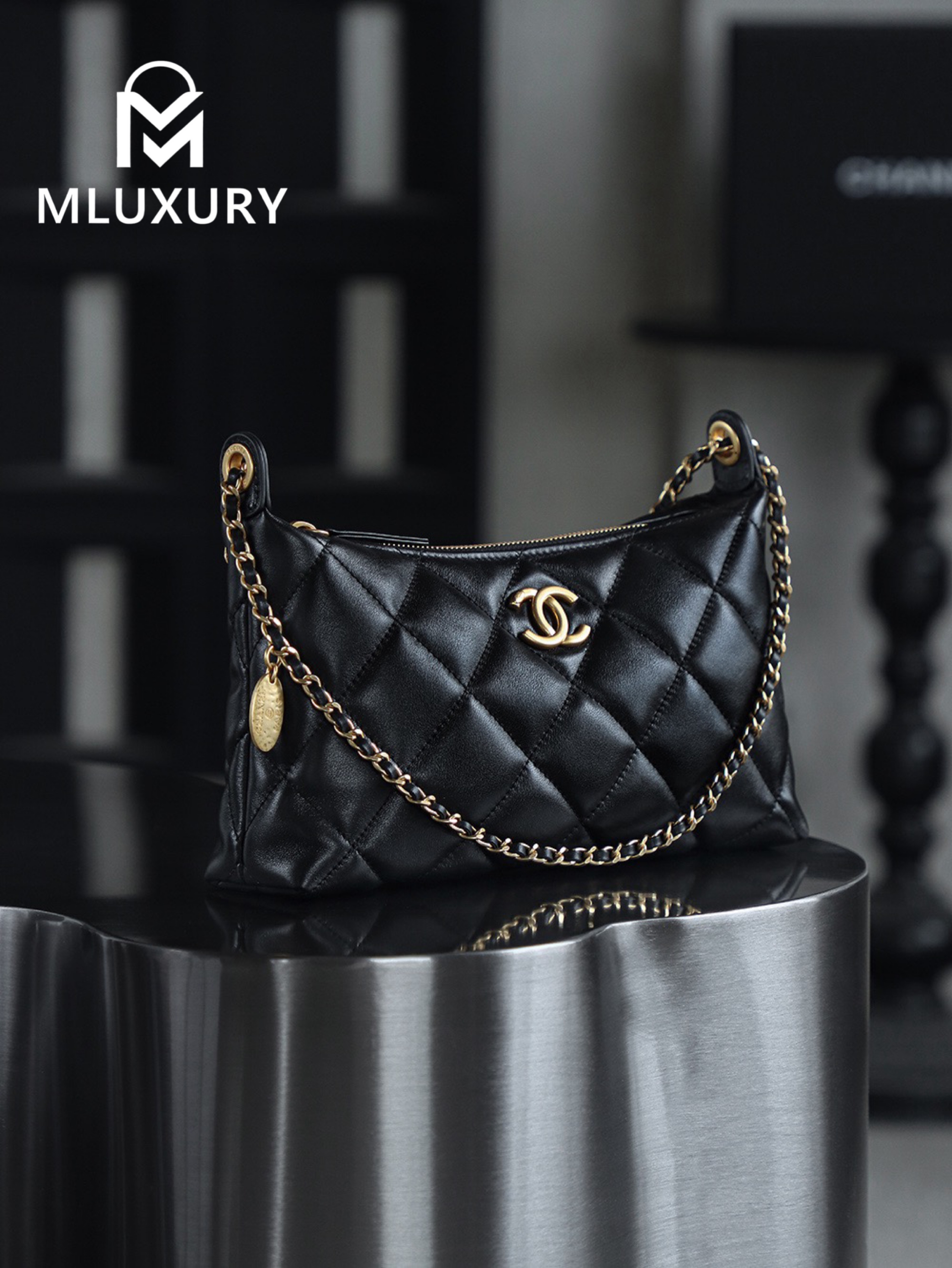 CHANEL 25S Gold Coin Hobo Bag