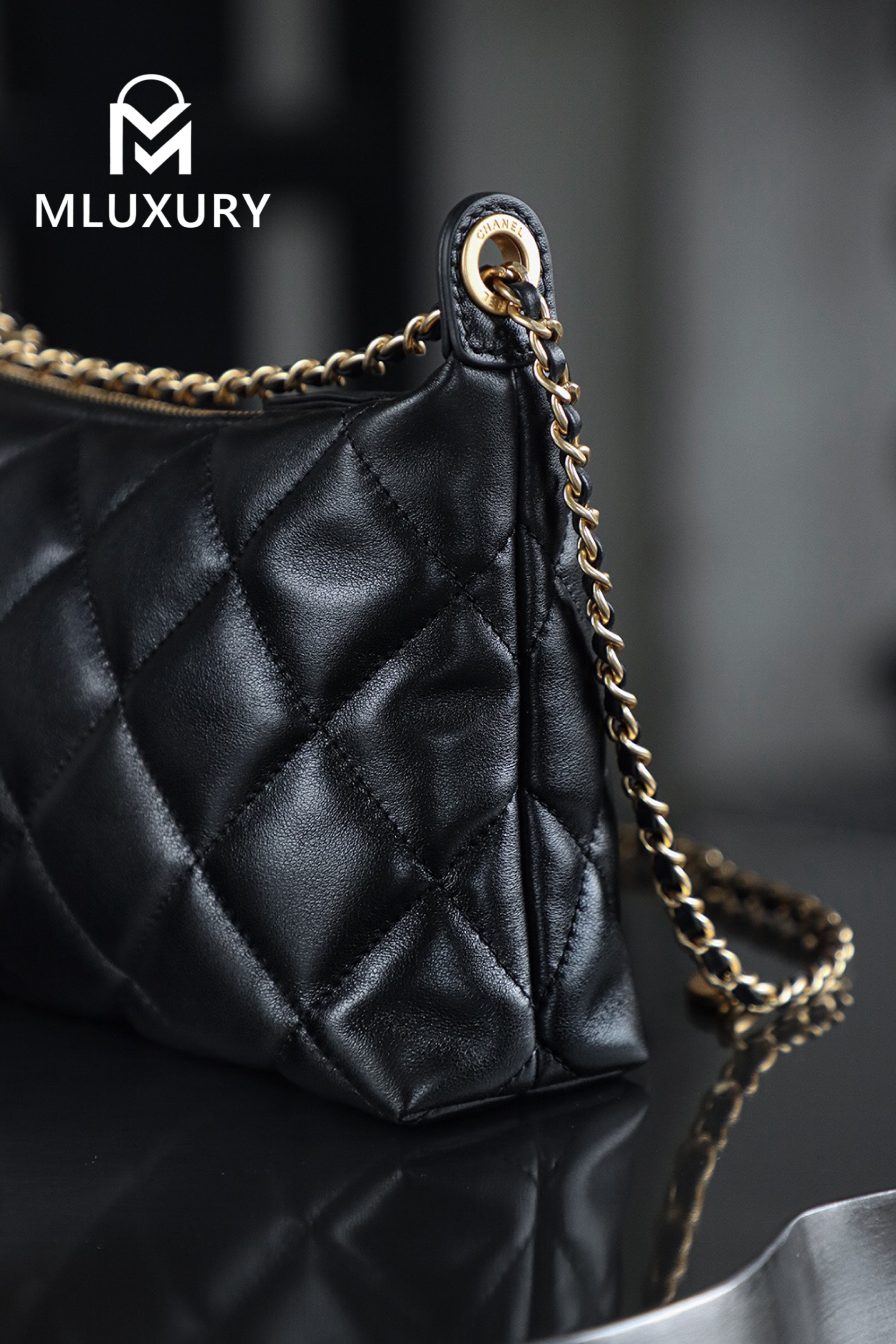 CHANEL 25S Gold Coin Hobo Bag