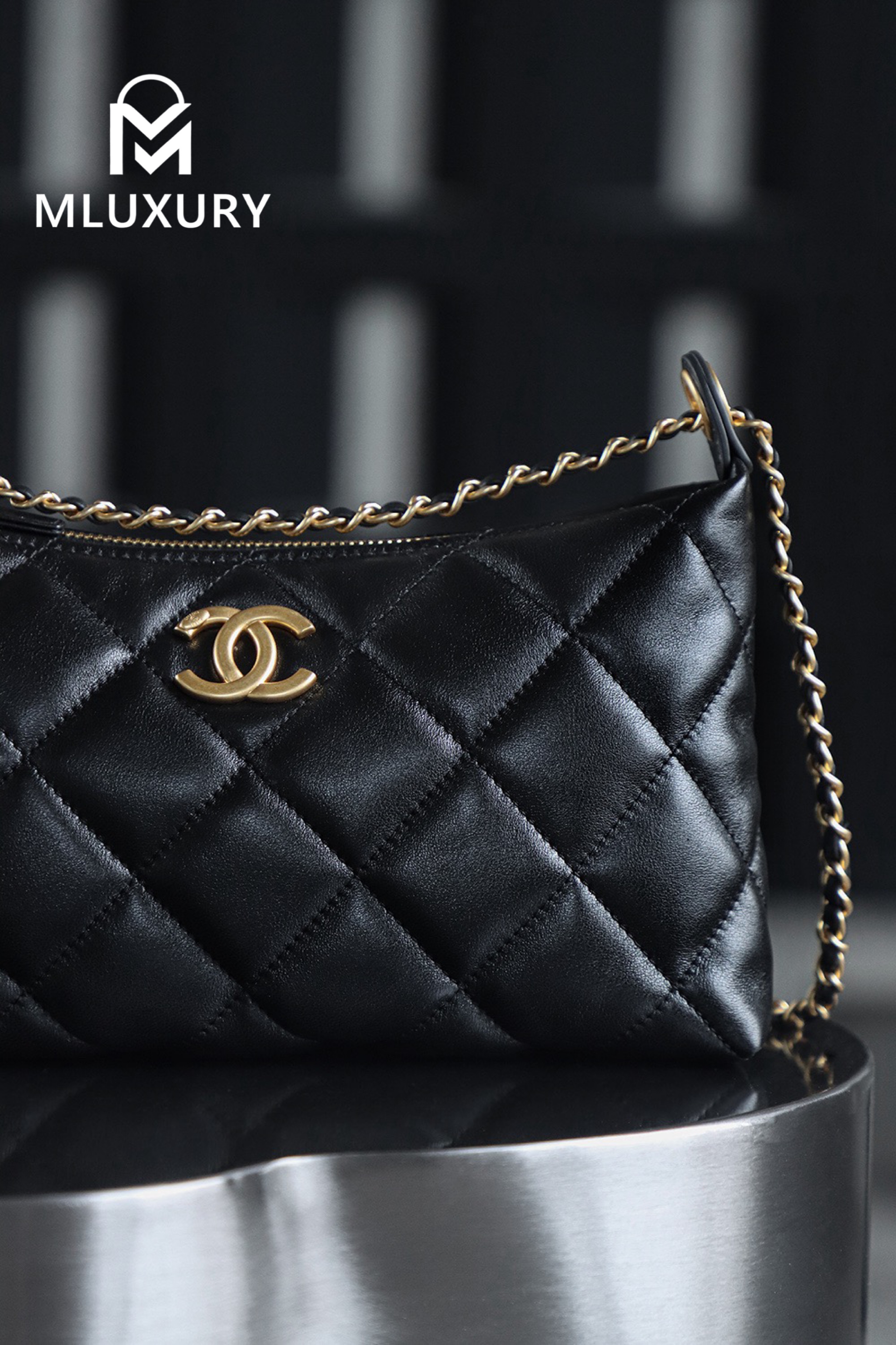 CHANEL 25S Gold Coin Hobo Bag