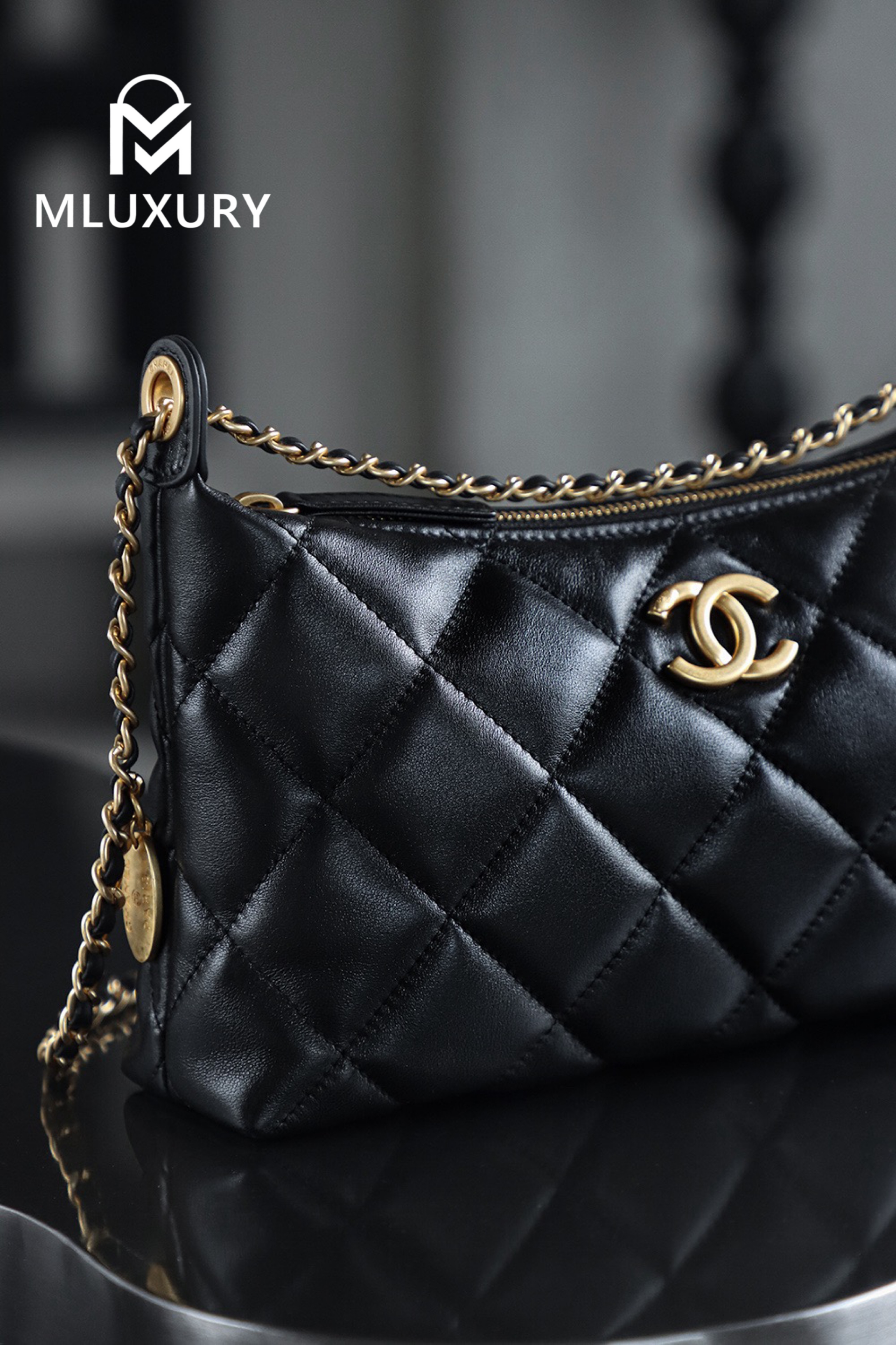 CHANEL 25S Gold Coin Hobo Bag