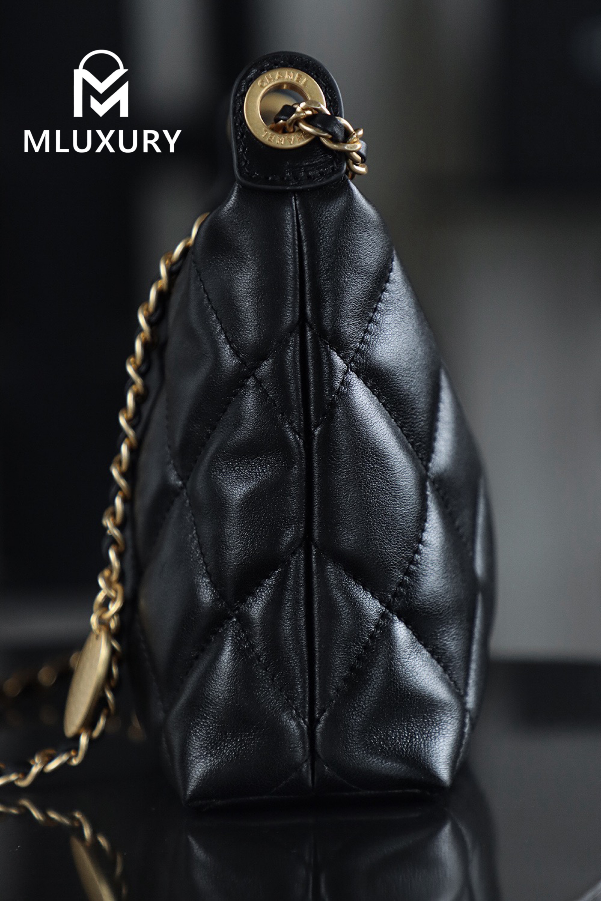 CHANEL 25S Gold Coin Hobo Bag