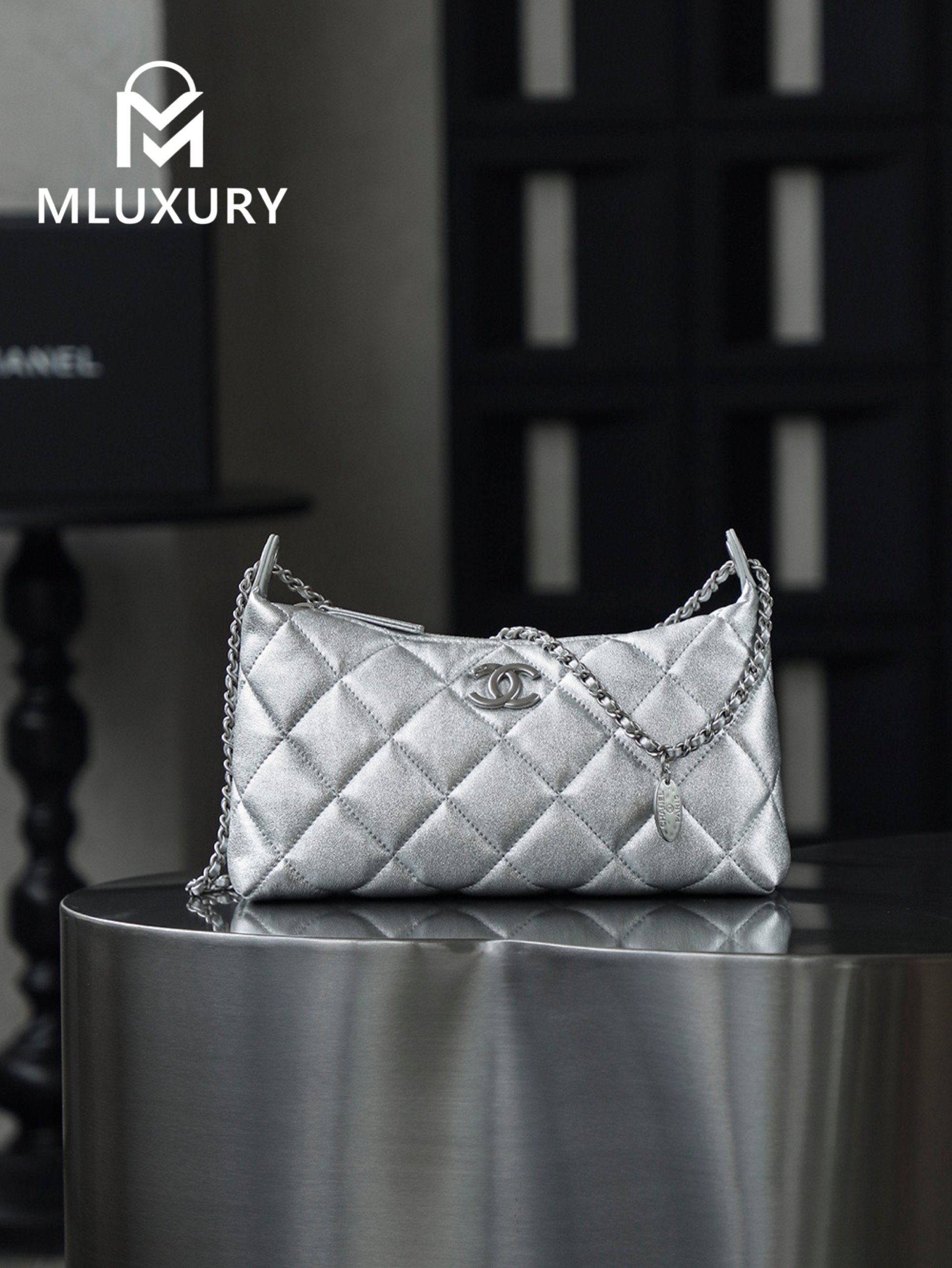 CHANEL 25S Gold Coin Hobo Bag, Silver