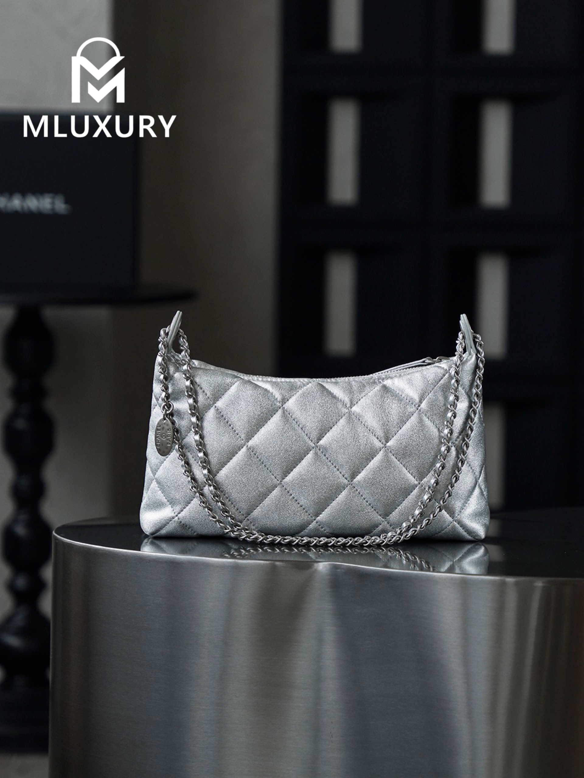 CHANEL 25S Gold Coin Hobo Bag, Silver