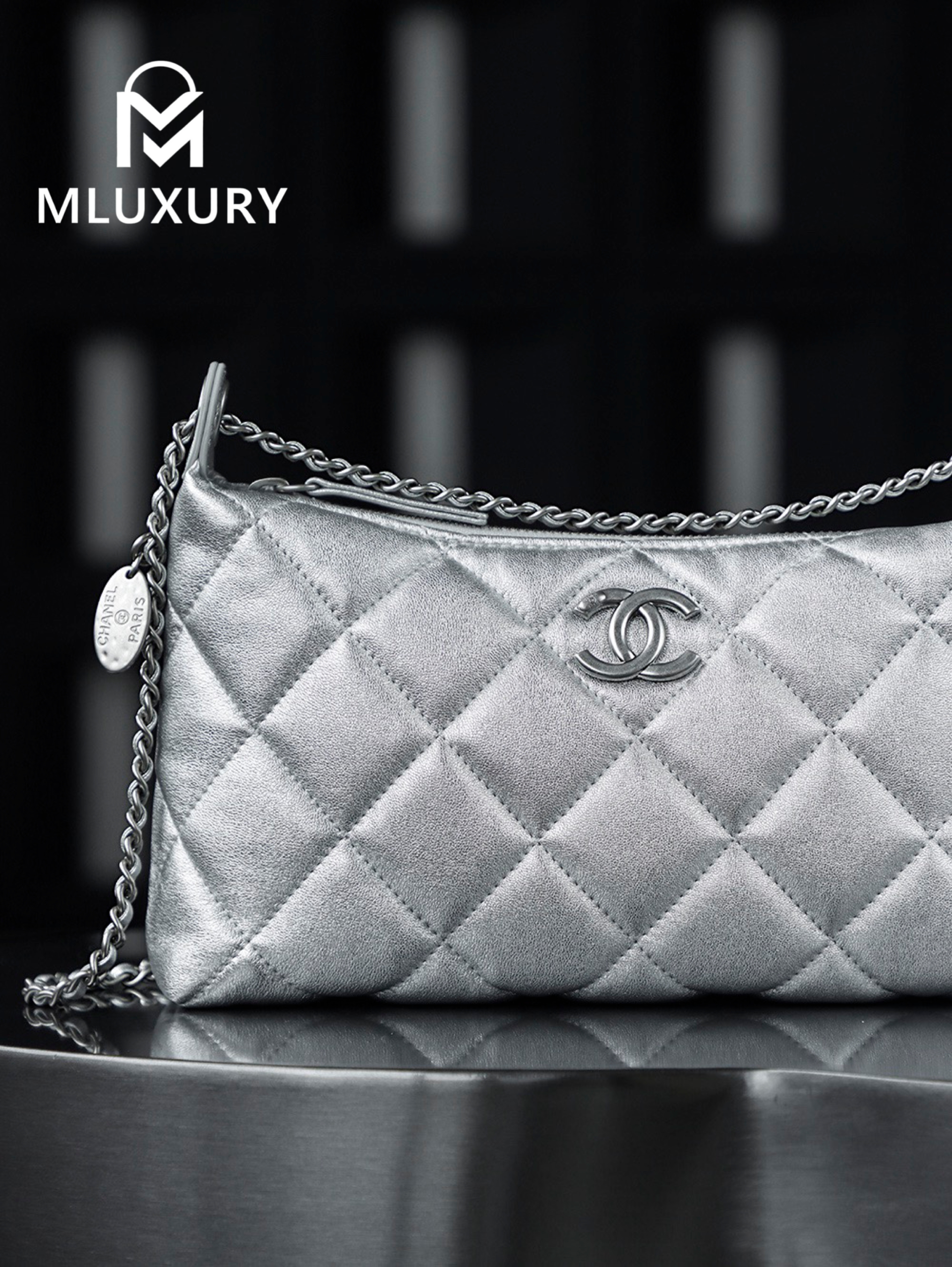 CHANEL 25S Gold Coin Hobo Bag, Silver