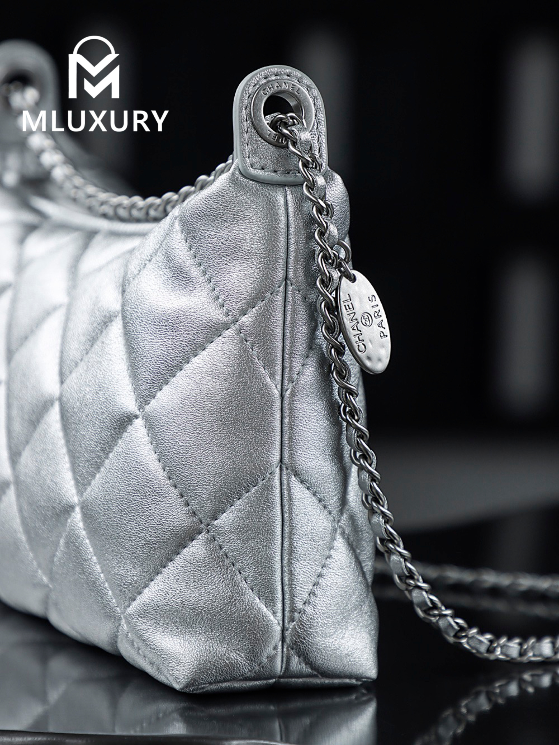 CHANEL 25S Gold Coin Hobo Bag, Silver