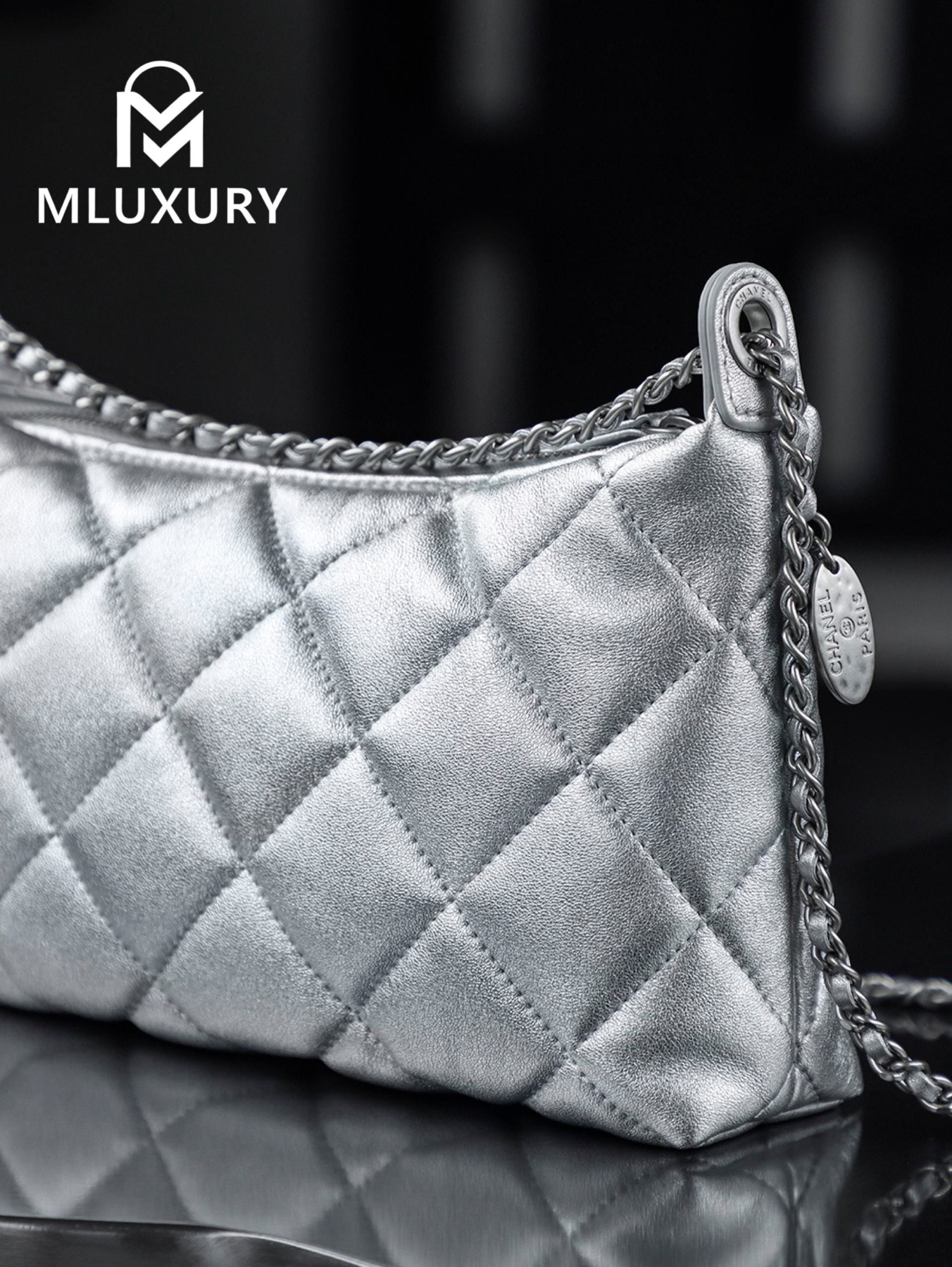 CHANEL 25S Gold Coin Hobo Bag, Silver