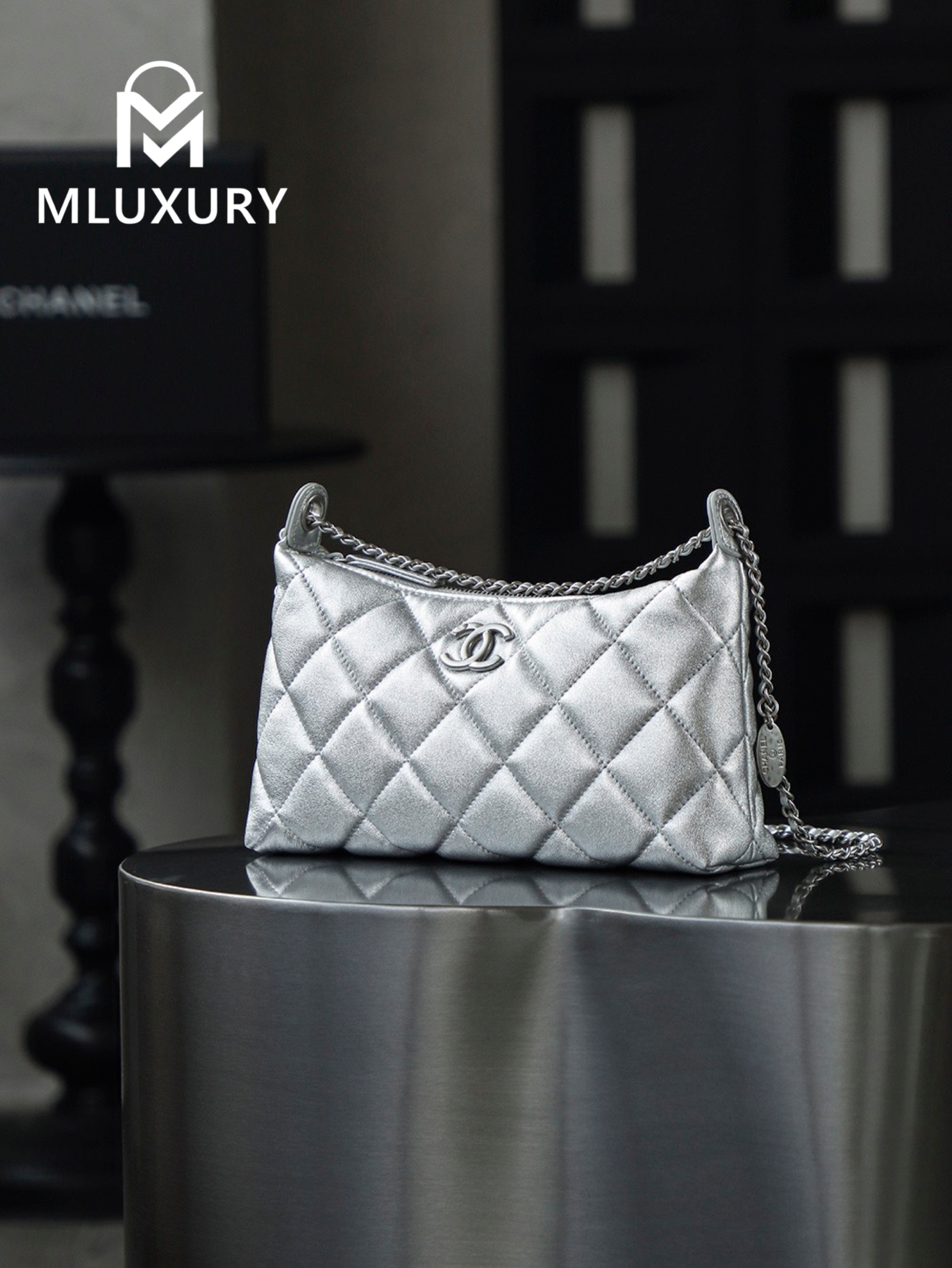 CHANEL 25S Gold Coin Hobo Bag, Silver