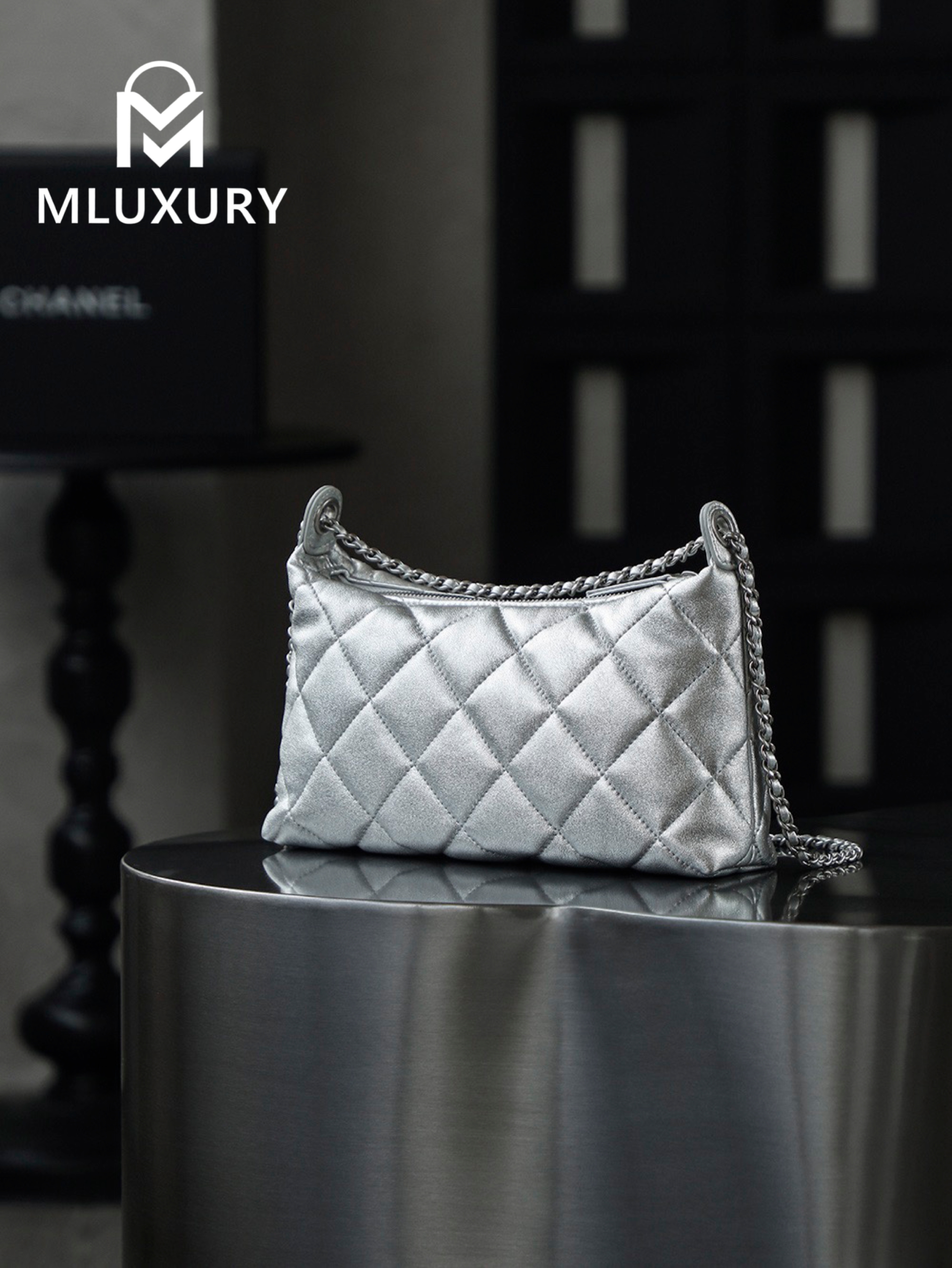 CHANEL 25S Gold Coin Hobo Bag, Silver