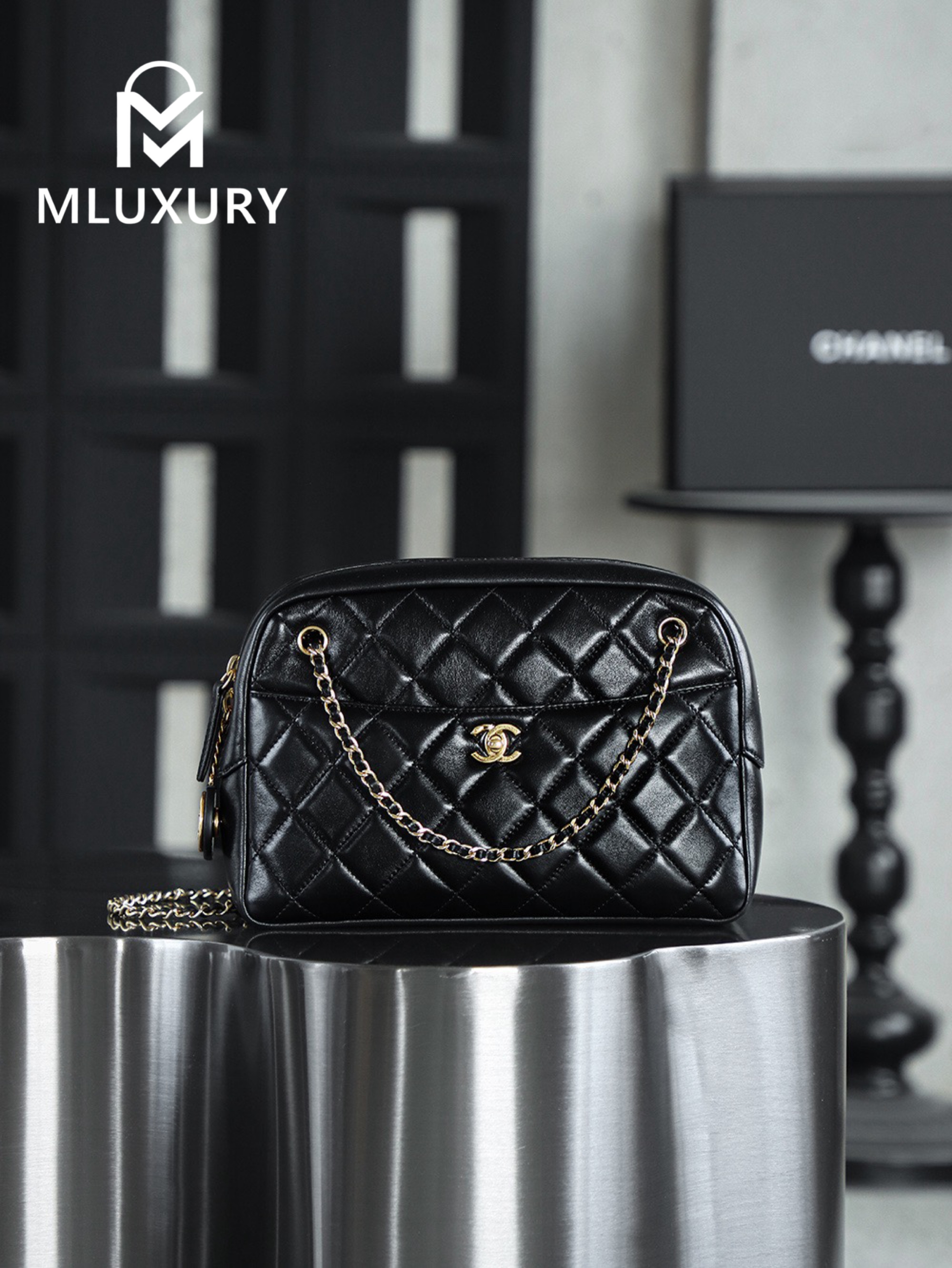 CHANEL 24K Gold Coin Camera Bag (Medium)