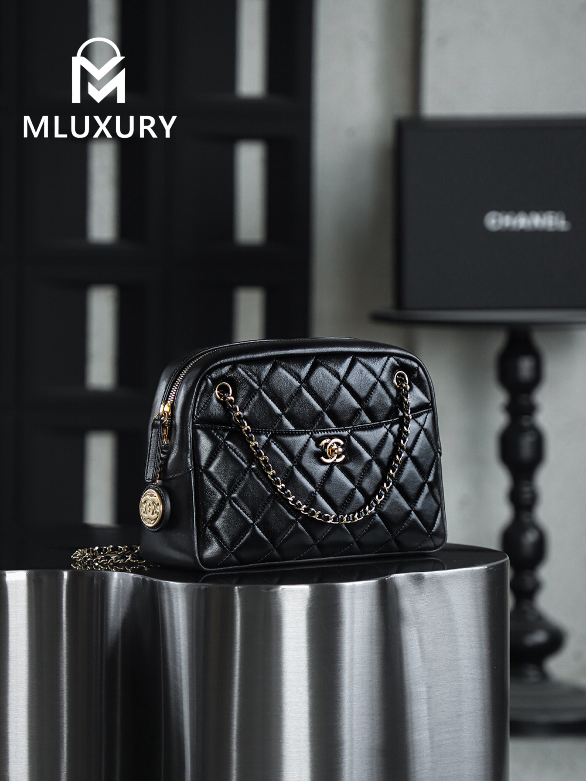 CHANEL 24K Gold Coin Camera Bag (Medium)