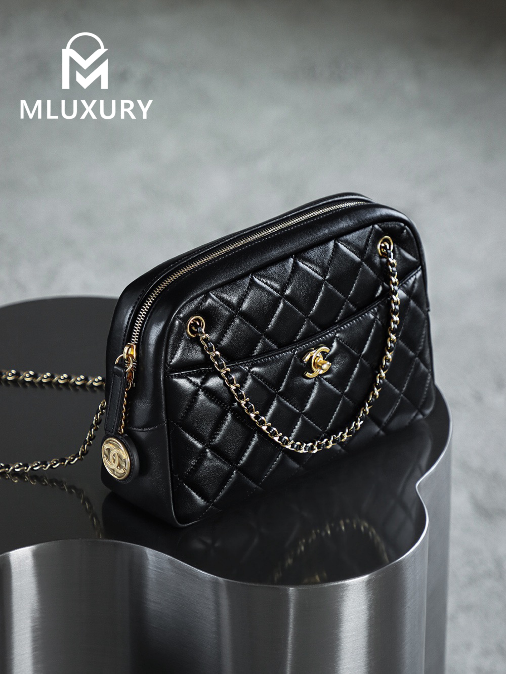 CHANEL 24K Gold Coin Camera Bag (Medium)