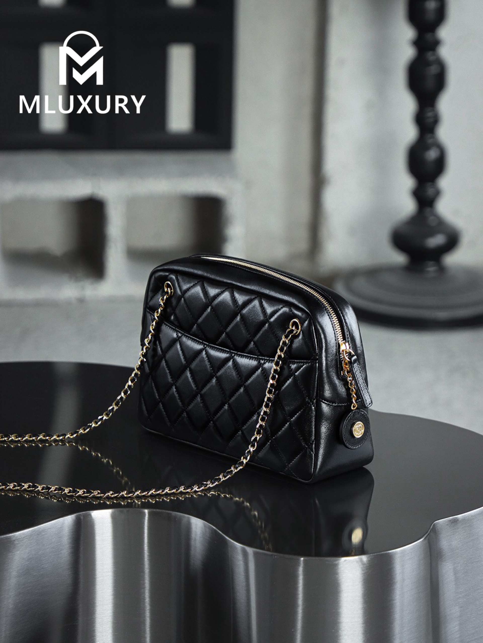 CHANEL 24K Gold Coin Camera Bag (Medium)