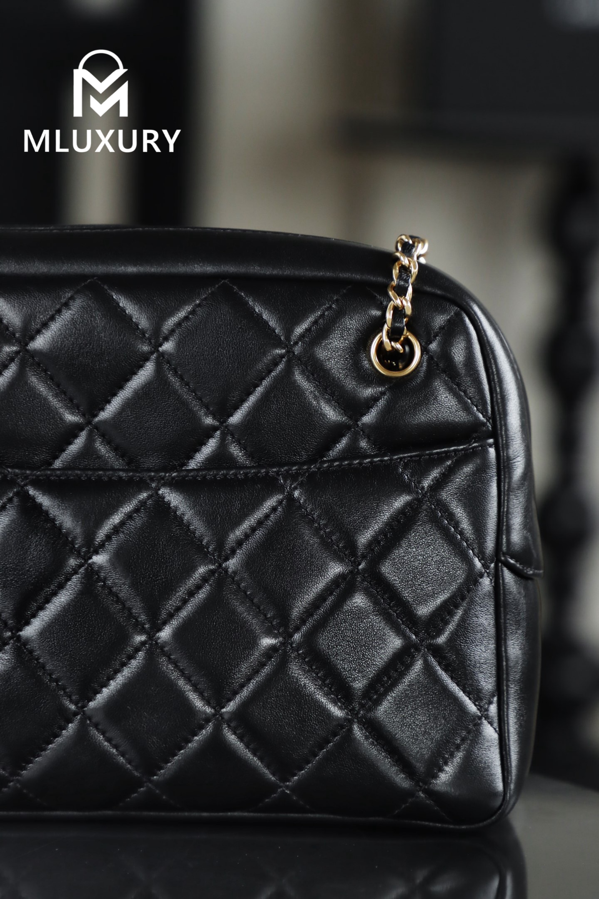 CHANEL 24K Gold Coin Camera Bag (Medium)