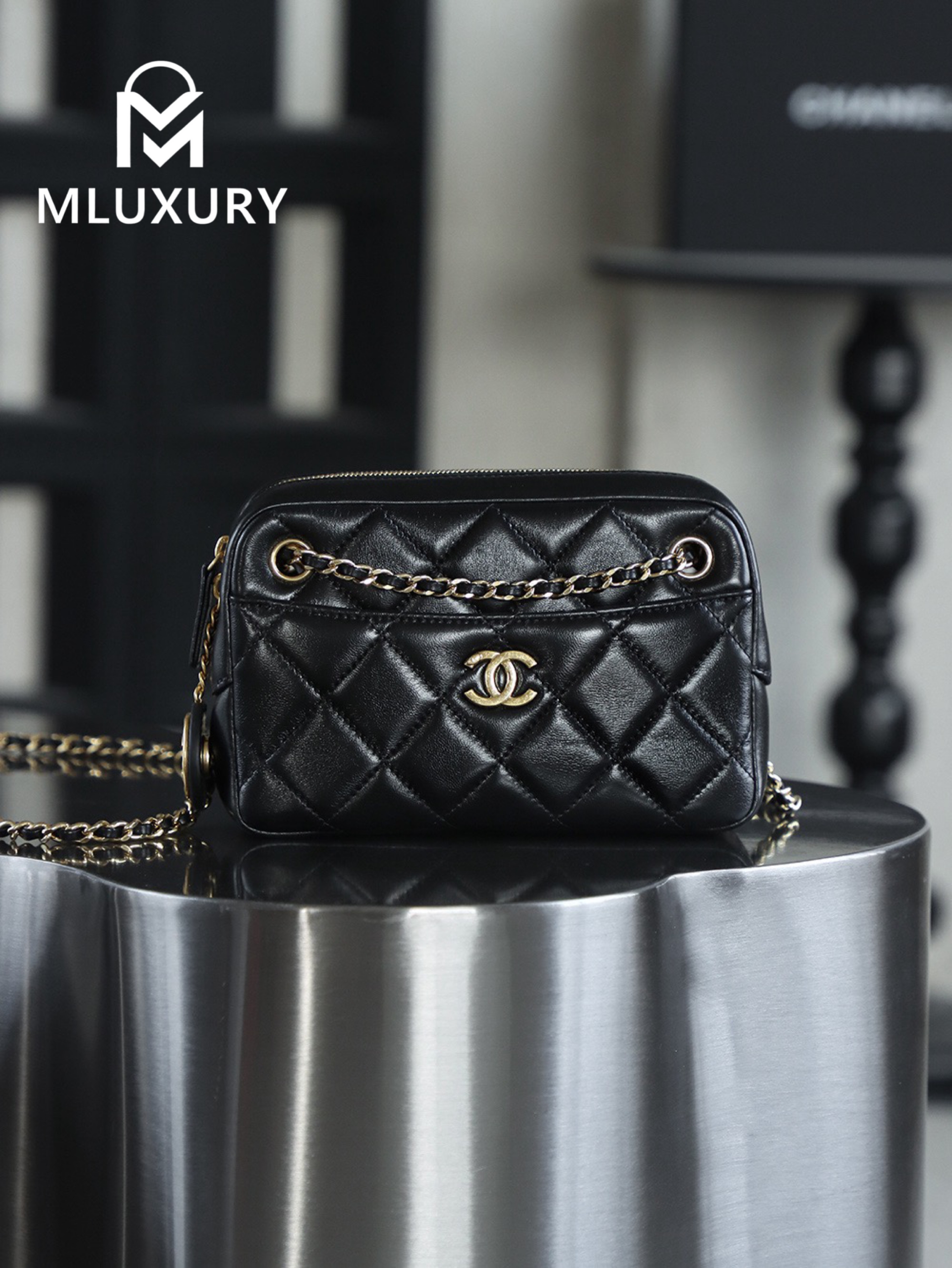 CHANEL 24K Gold Coin Camera Bag (Small)