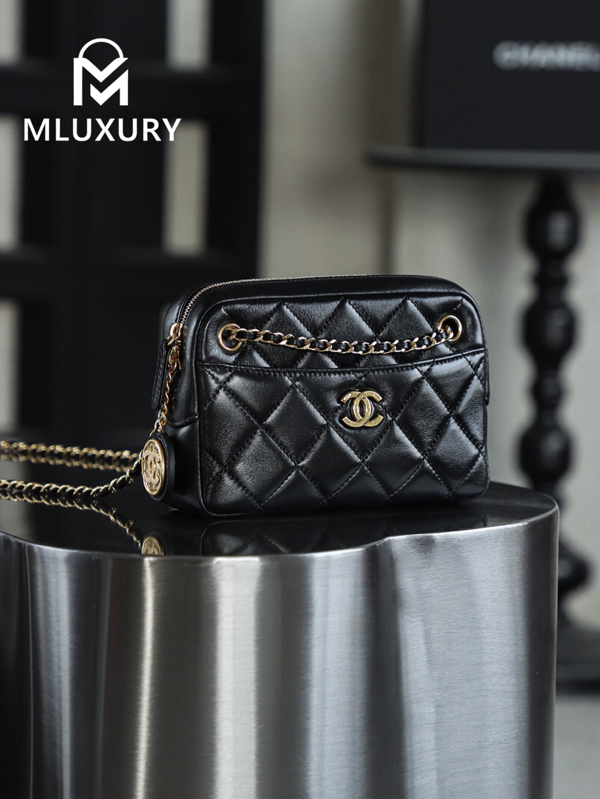 CHANEL 24K Gold Coin Camera Bag (Small)