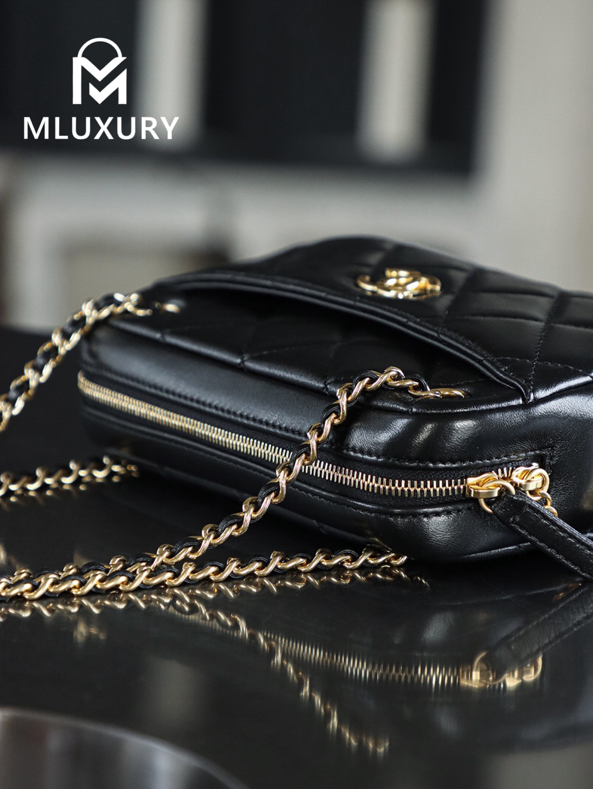 CHANEL 24K Gold Coin Camera Bag (Small)
