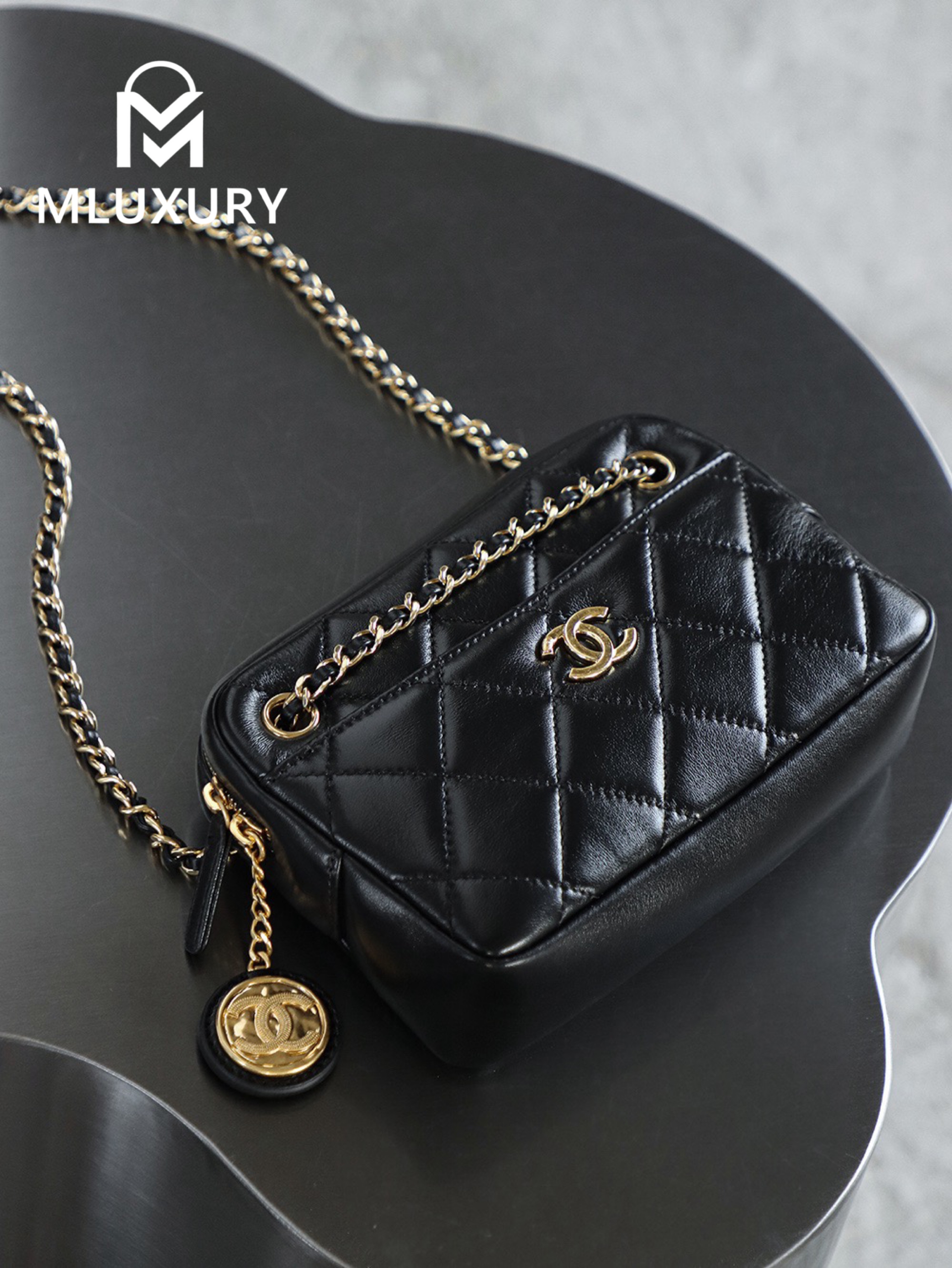 CHANEL 24K Gold Coin Camera Bag (Small)