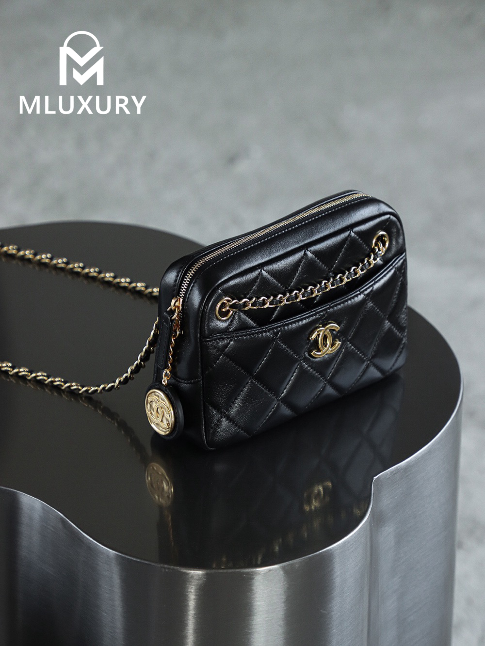 CHANEL 24K Gold Coin Camera Bag (Small)