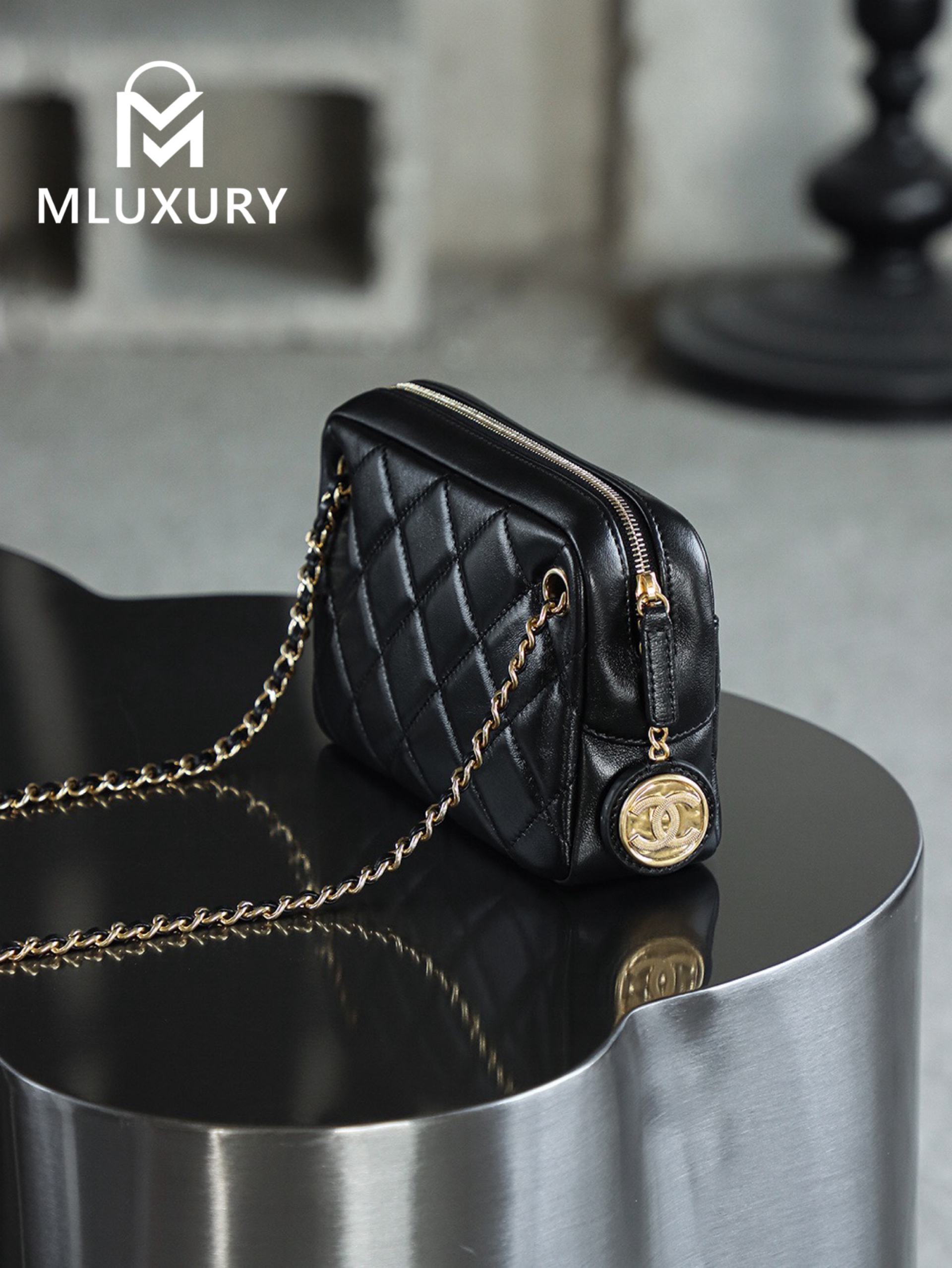 CHANEL 24K Gold Coin Camera Bag (Small)